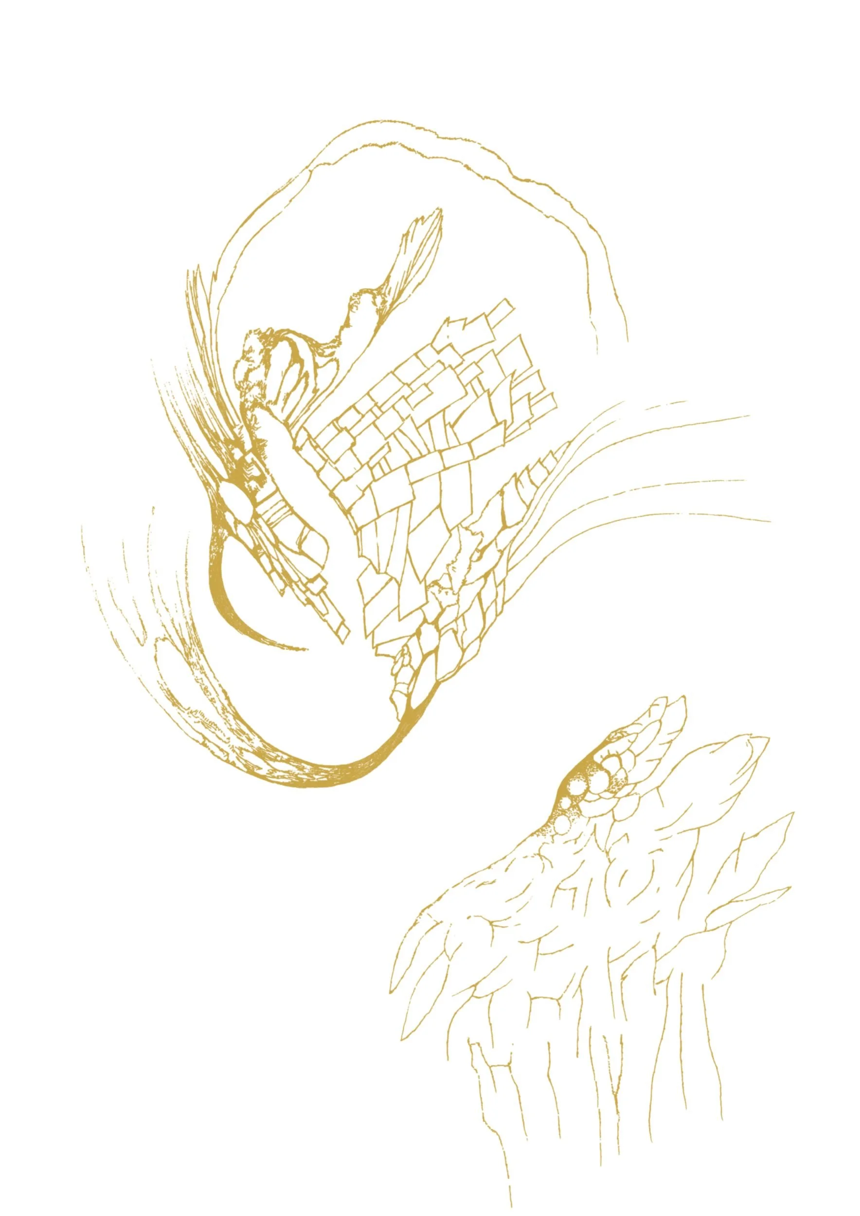 Delicate gold line drawing by Ivana Filkorova – Gold Obsession series.