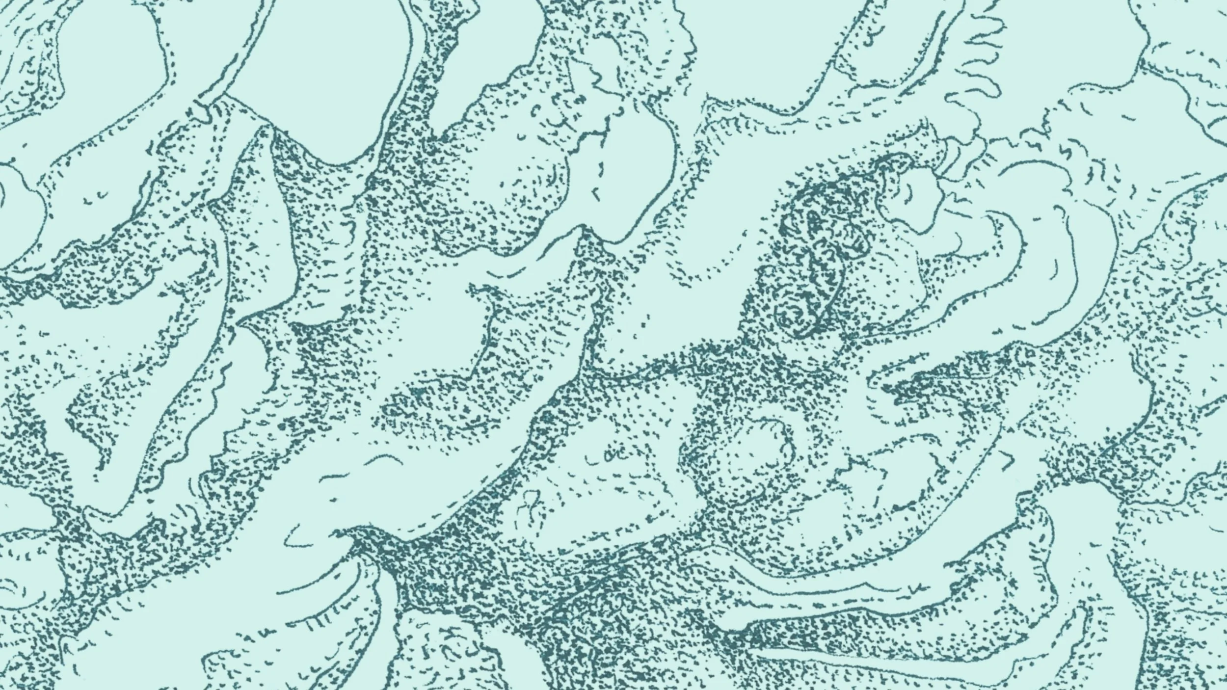 Detail from Mystery of Change series – fluid ink fragment evoking growth and erosion