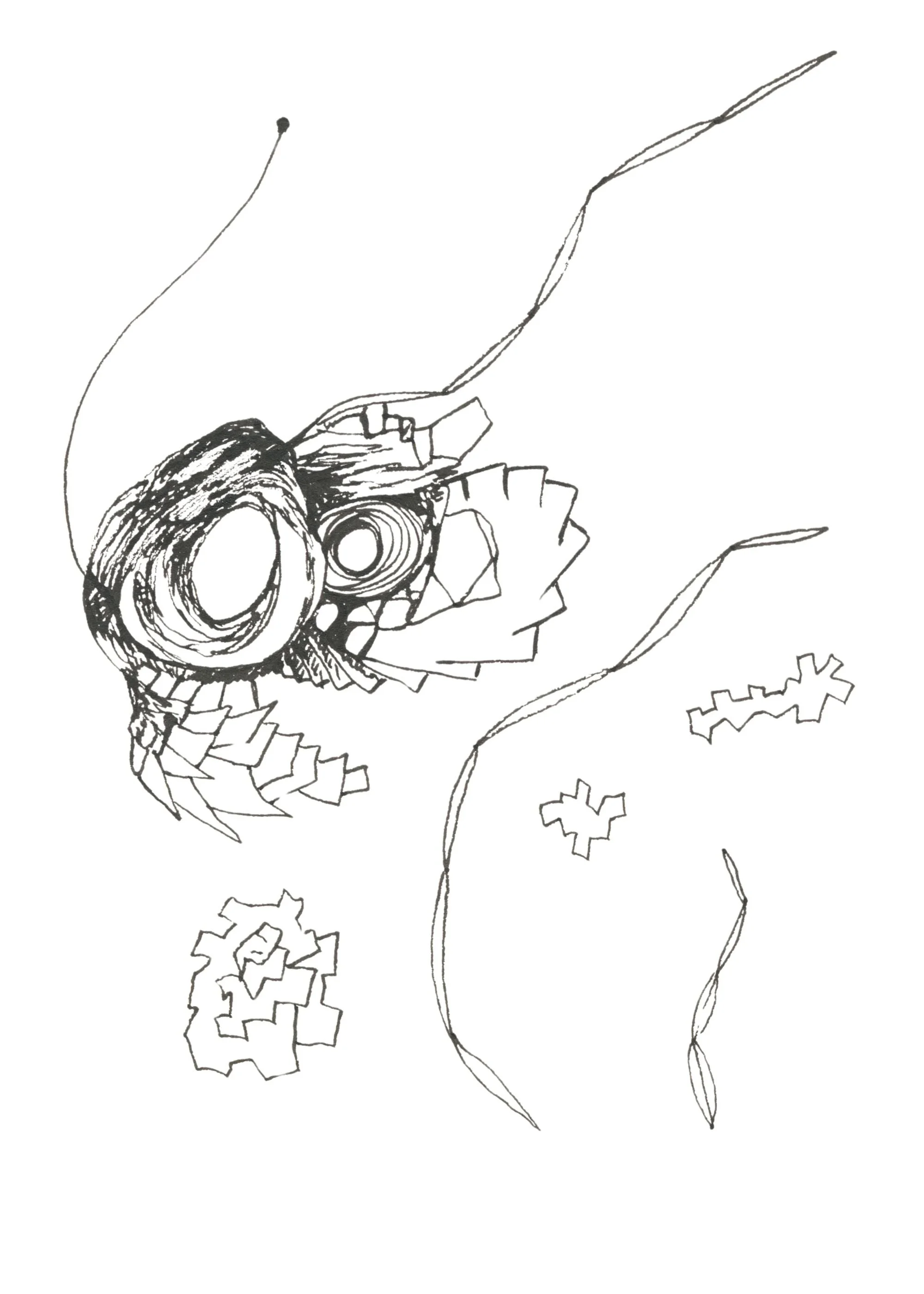 Une autre lumière Drawing Diary 18.jpg