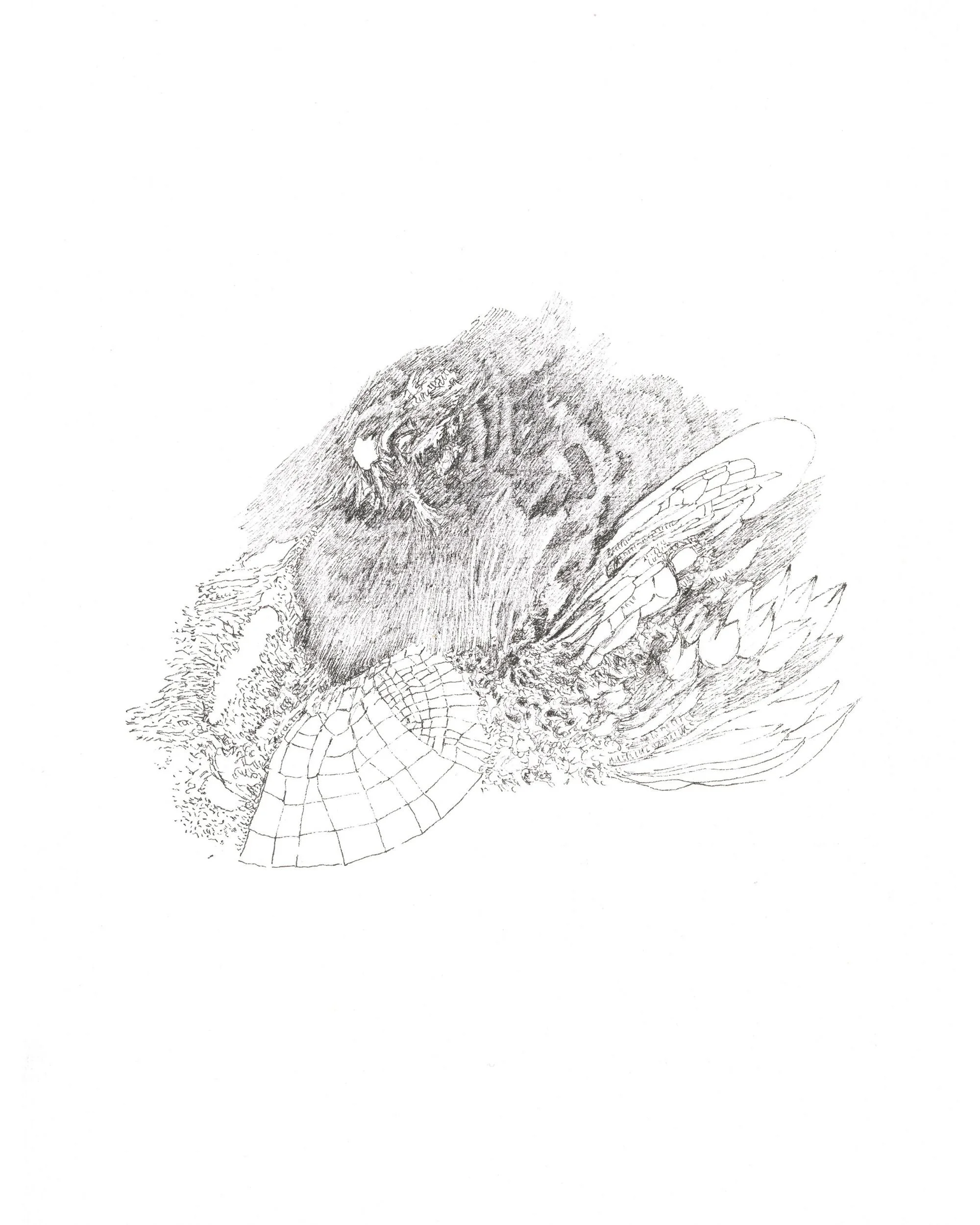 Une autre lumière Study I.jpg