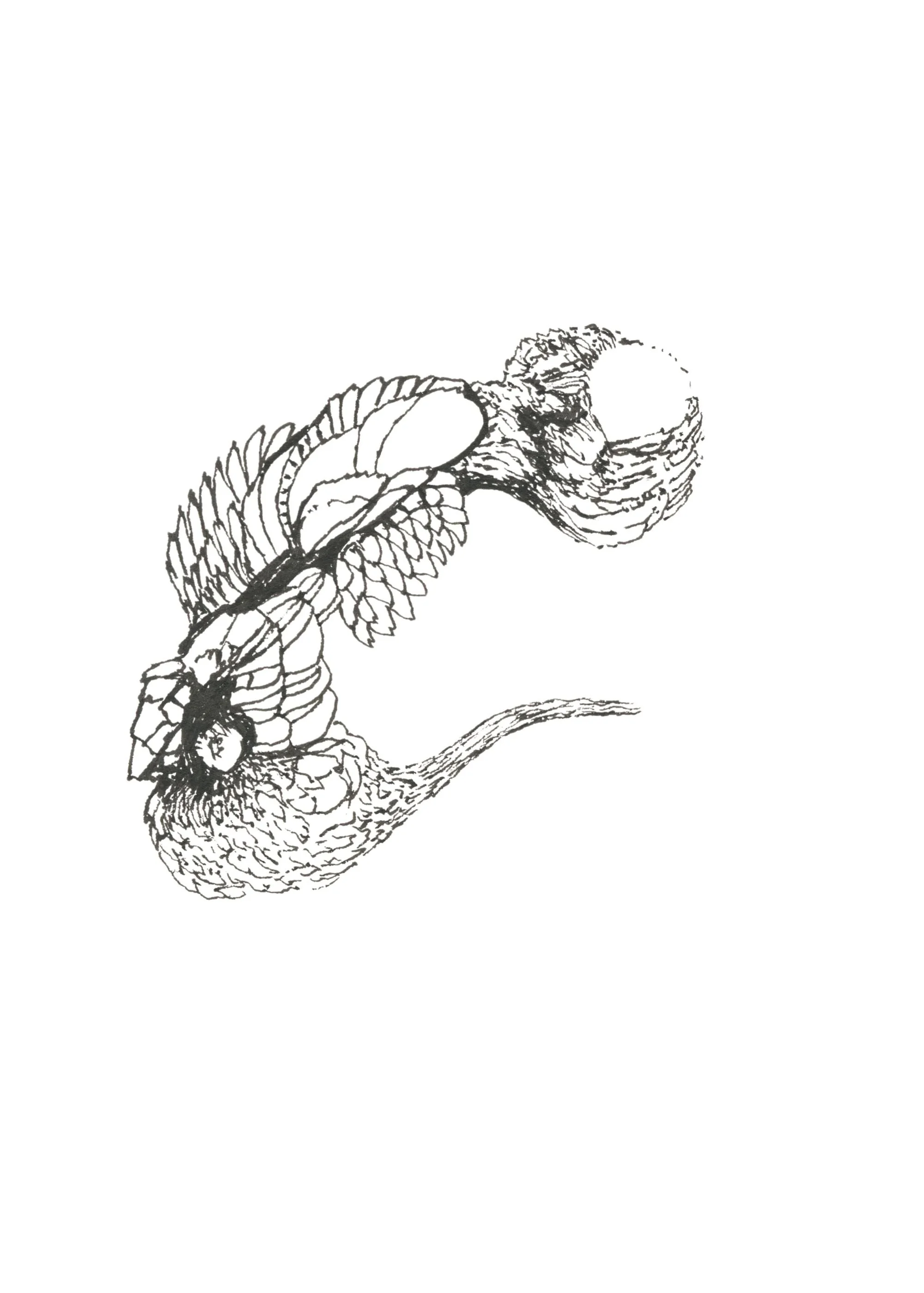 Une autre lumière Drawing Diary 01.jpg