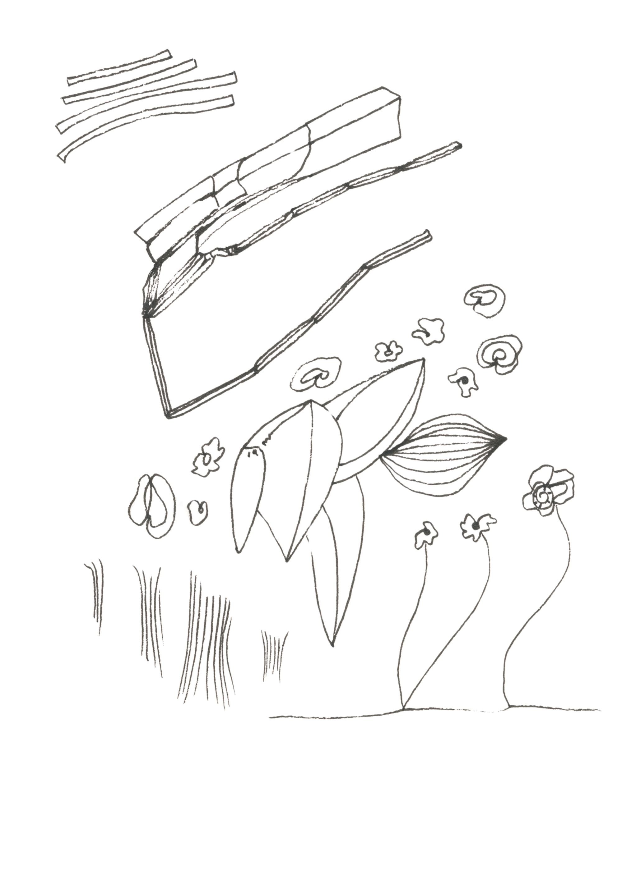 Une autre lumière Drawing Diary 08.jpg