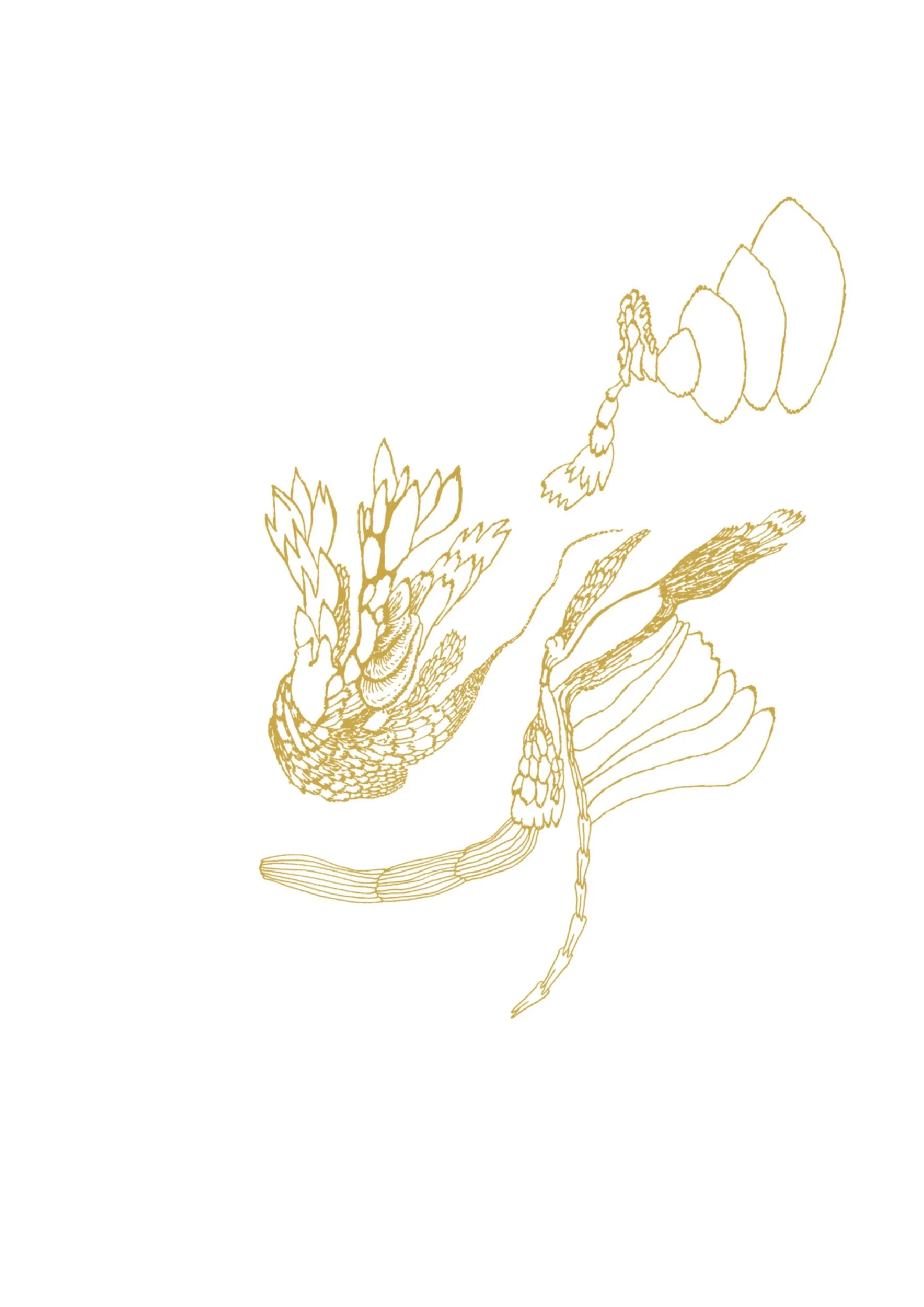 Abstract golden drawing from Gold Obsession collection by Ivana Filkorova.