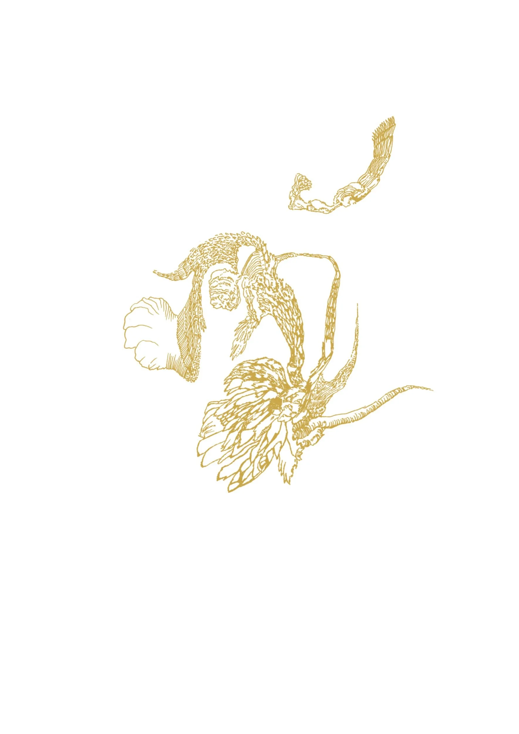 Gold Obsession drawing by Ivana Filkorova – organic abstract line illustration in gold.
