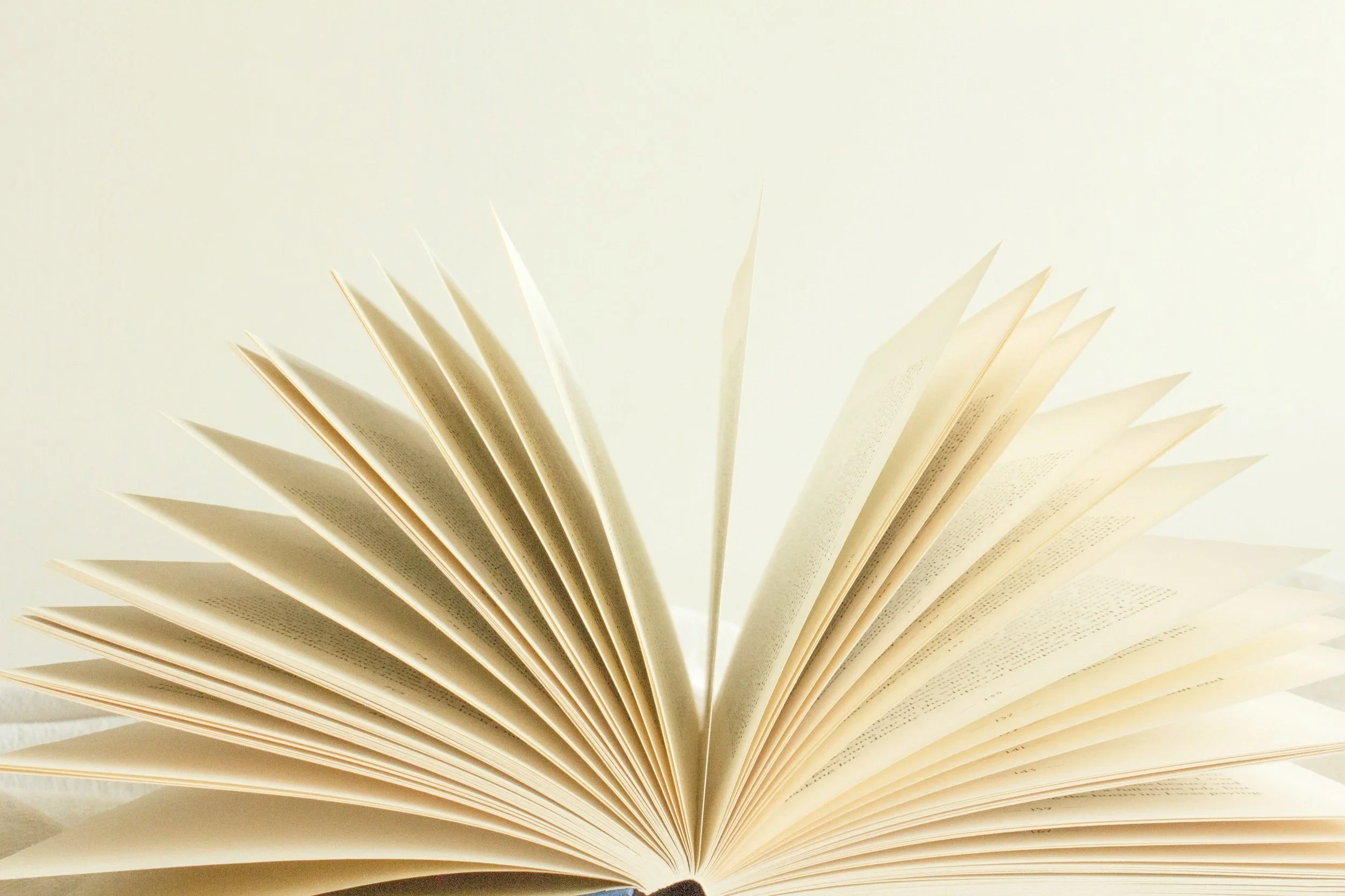 open book with pages splayed