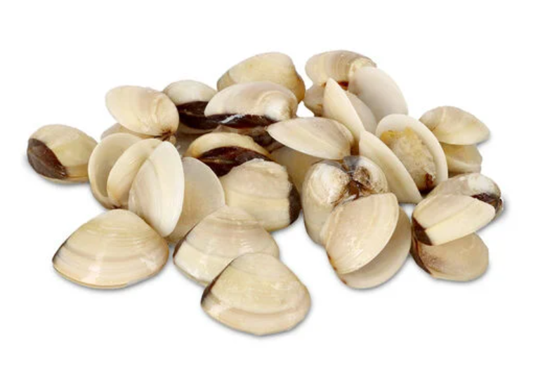Ameijoas clams