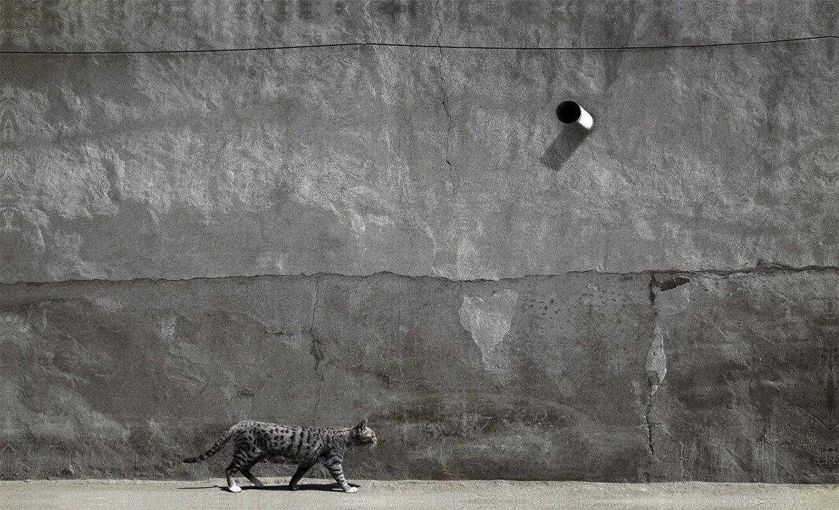 From the Wall Series (2009), 238 x 144 cm, Digital Print on Canvas