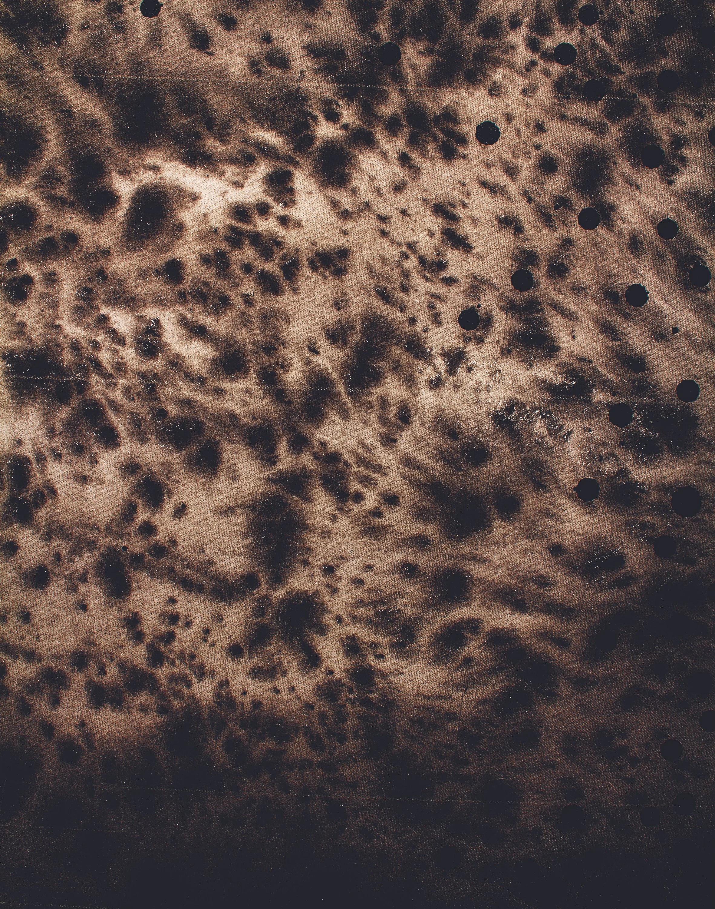 transient dreams in passing fantasy