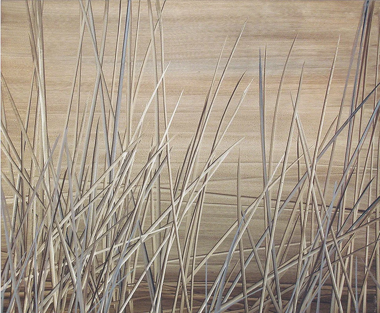 From Perplexity Collection(2008), 120x100cm, Acrylic On Canvas
