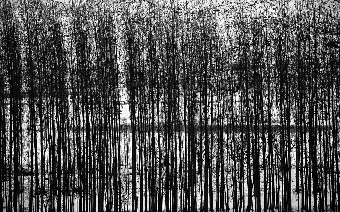 From the Snow White Series (2010), 164 x 103 cm, Digital Print on Canvas