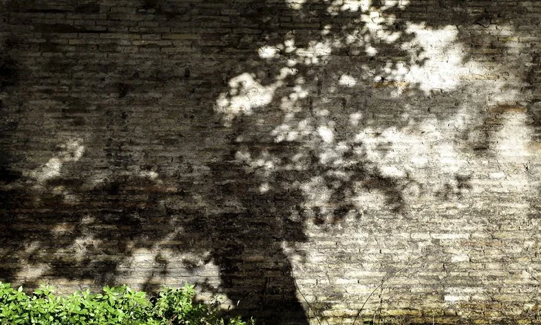 From the Wall Series (2007), 238 x 144 cm, Digital Print on Canvas