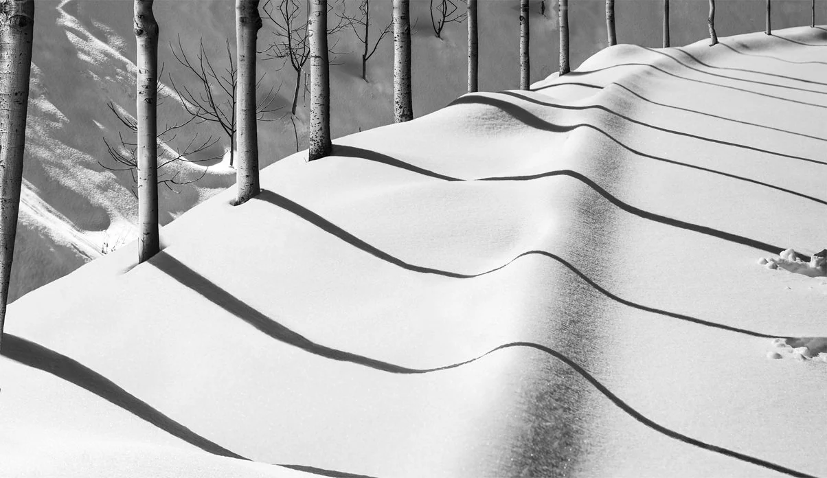 From the Snow White Series (2012), 246.5 x 140.5 cm, Digital Print on Canvas