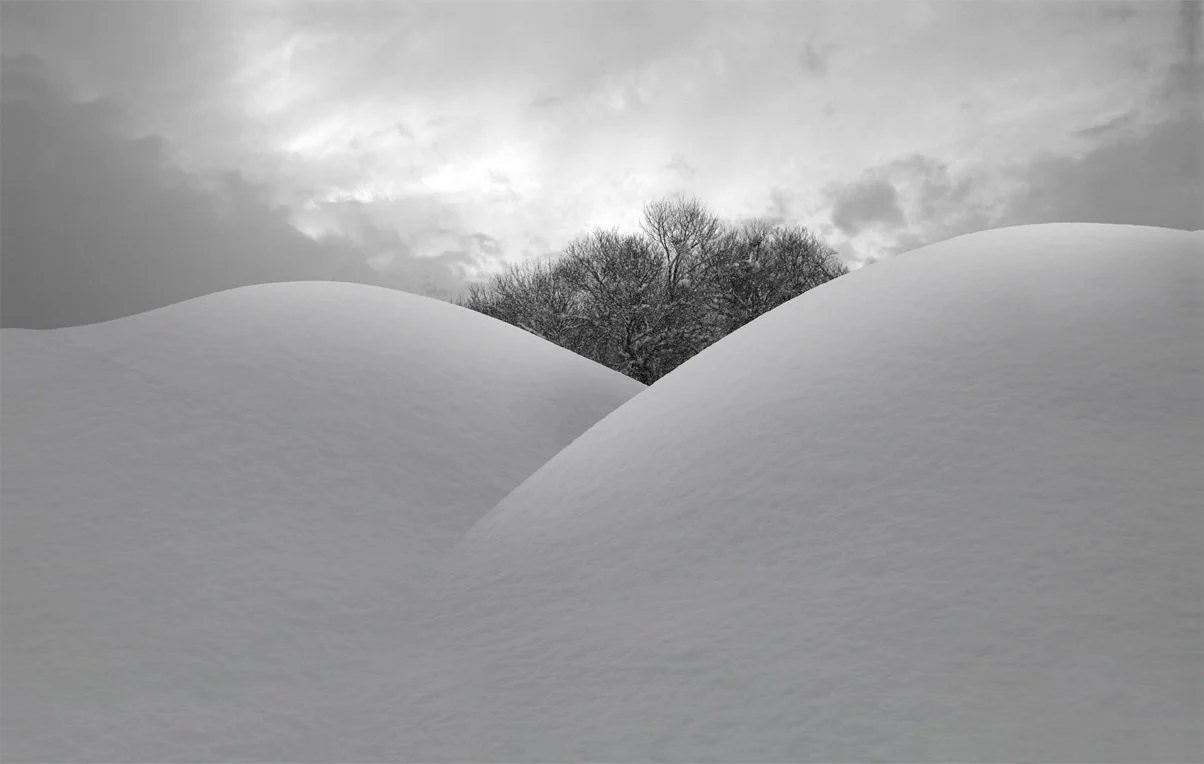 From the Snow White Series (2012), 229 x 144 cm, Digital Print on Canvas