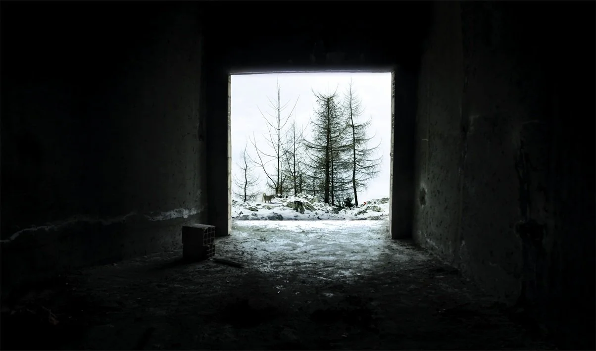From A Window To Life Series (1989), 245.5 x 144 cm, Digital Print on Canvas