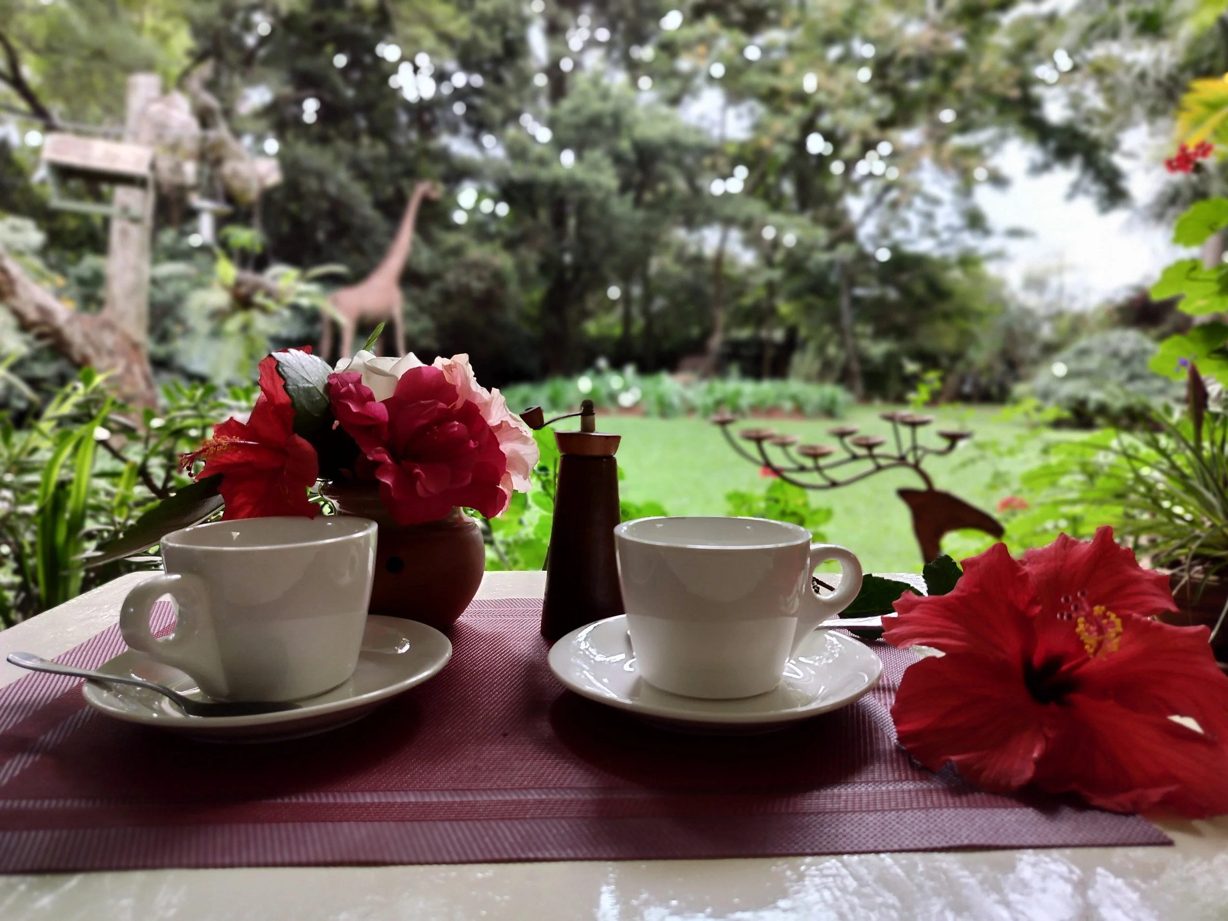 Tea time 2.jpg