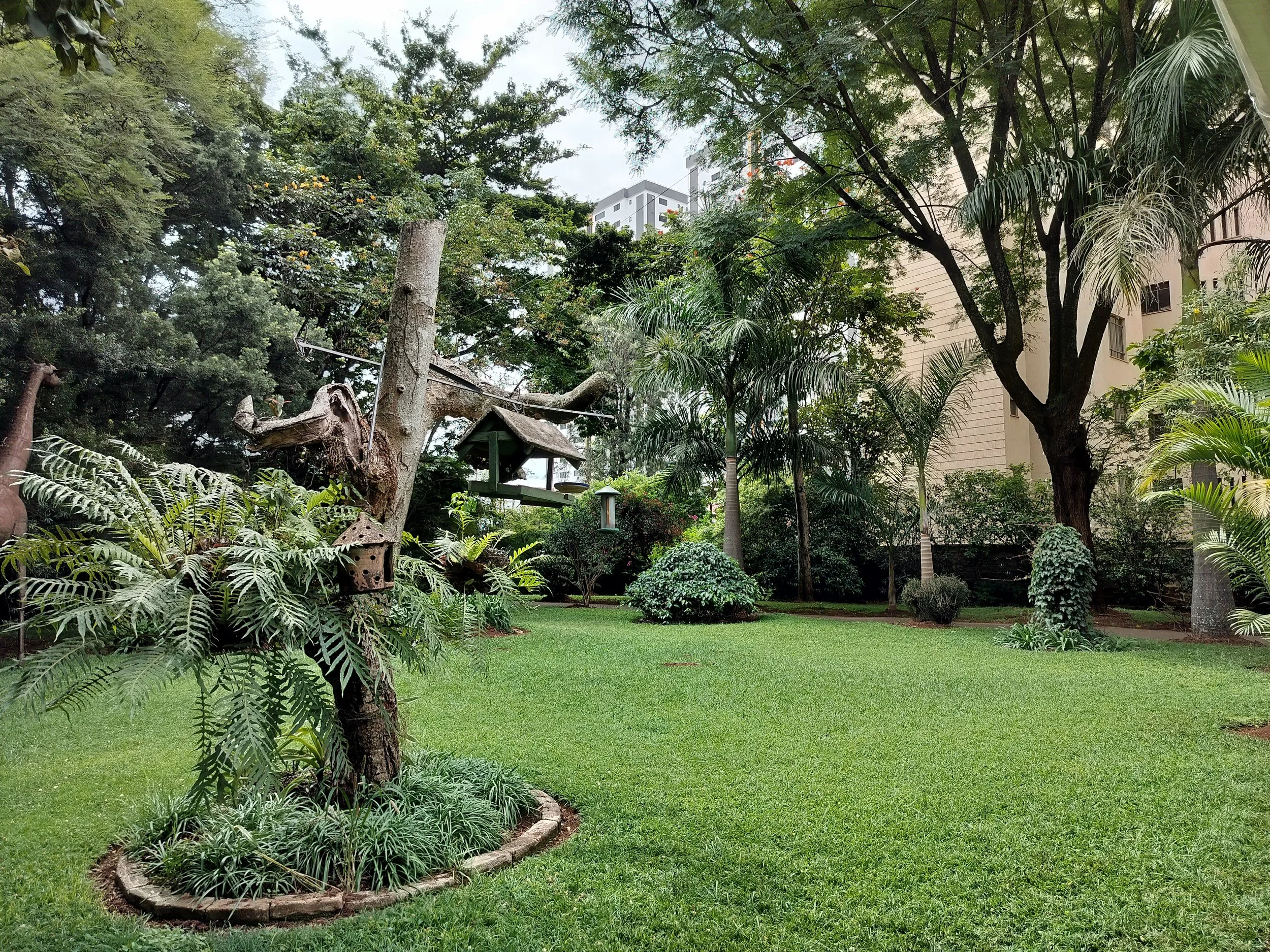 Garden 1.jpg