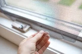 January - Windows & Screens