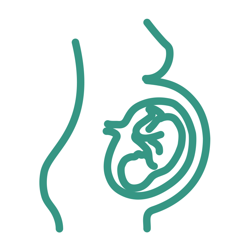 Line drawing of a pregnant woman with a visible fetus inside the womb