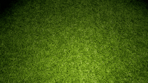 Motion Graphic for Movable Ink