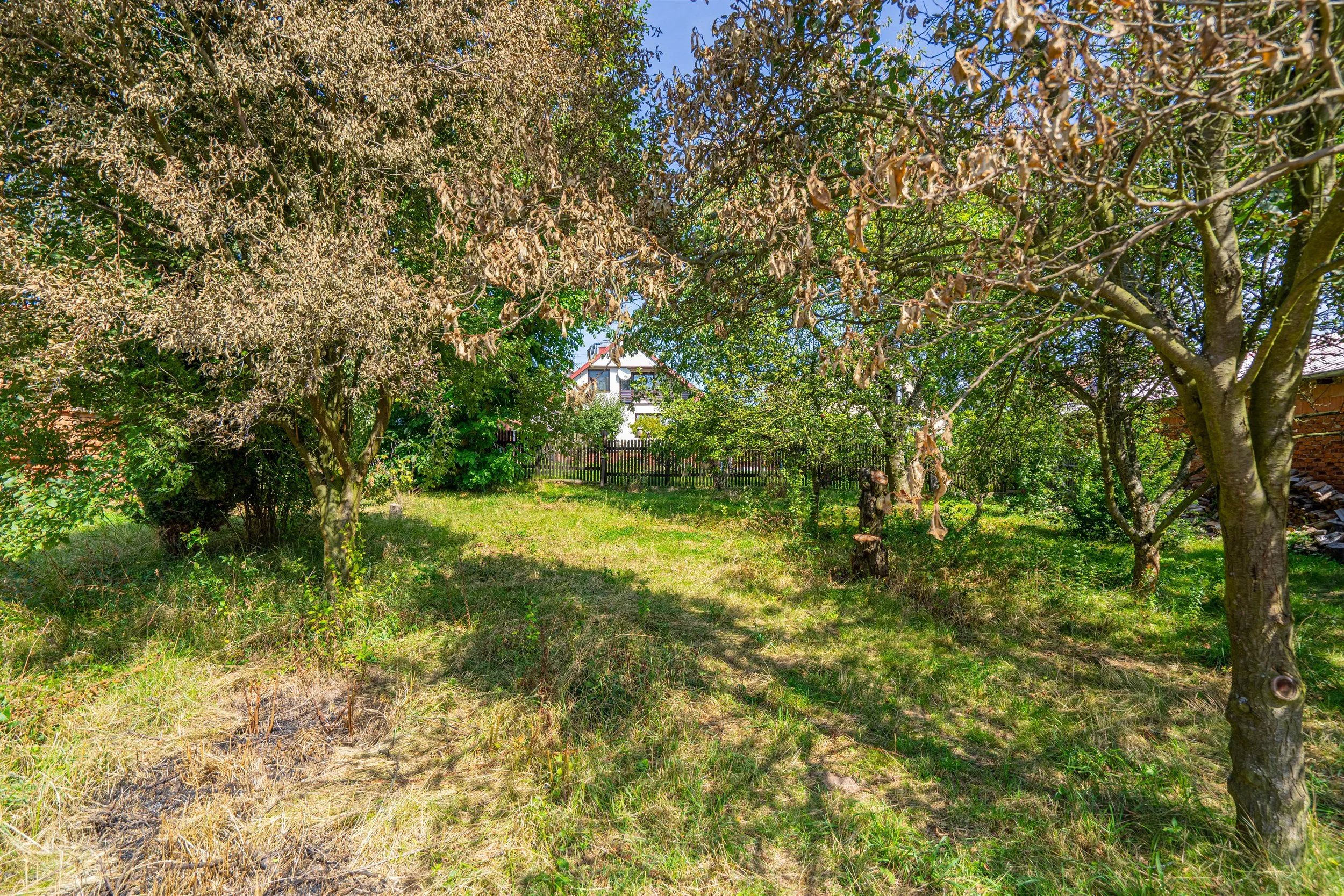 DSC01182-HDR.jpg