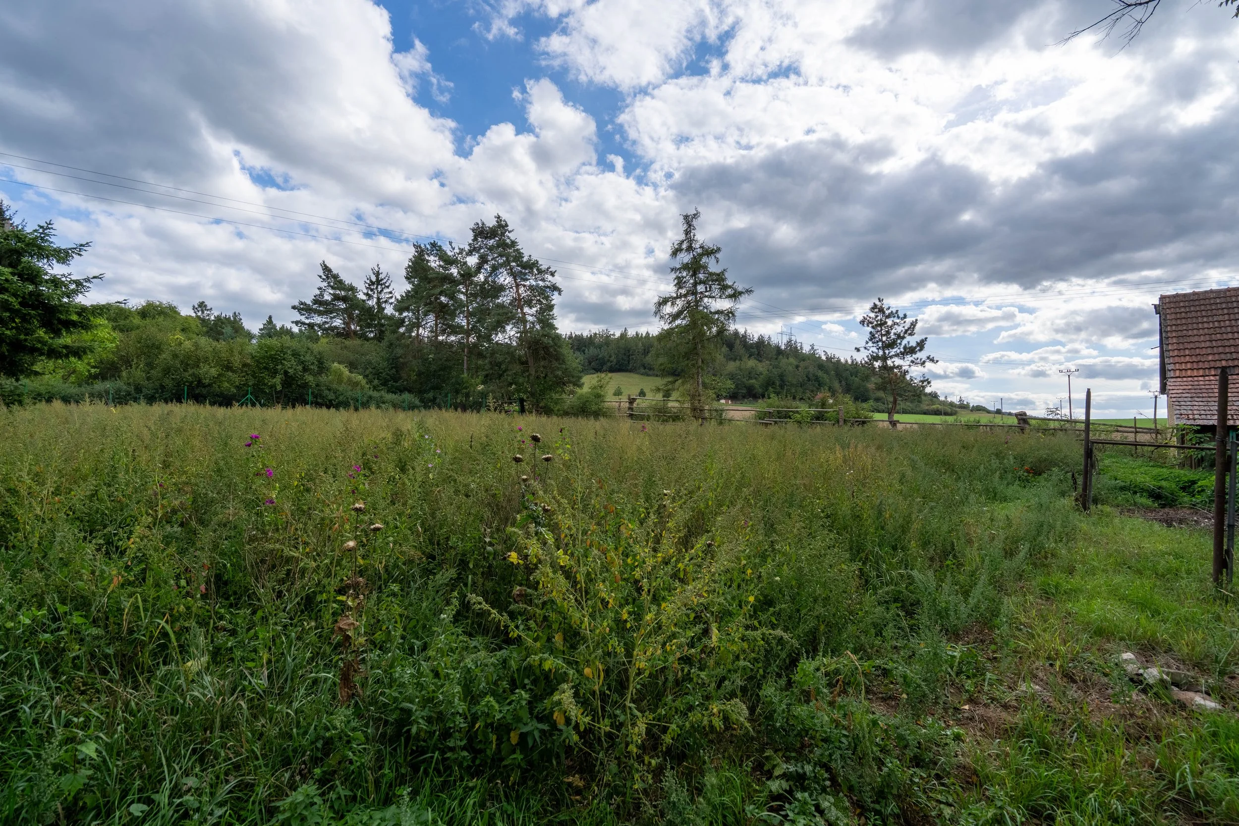 DSC09602-HDR.jpg