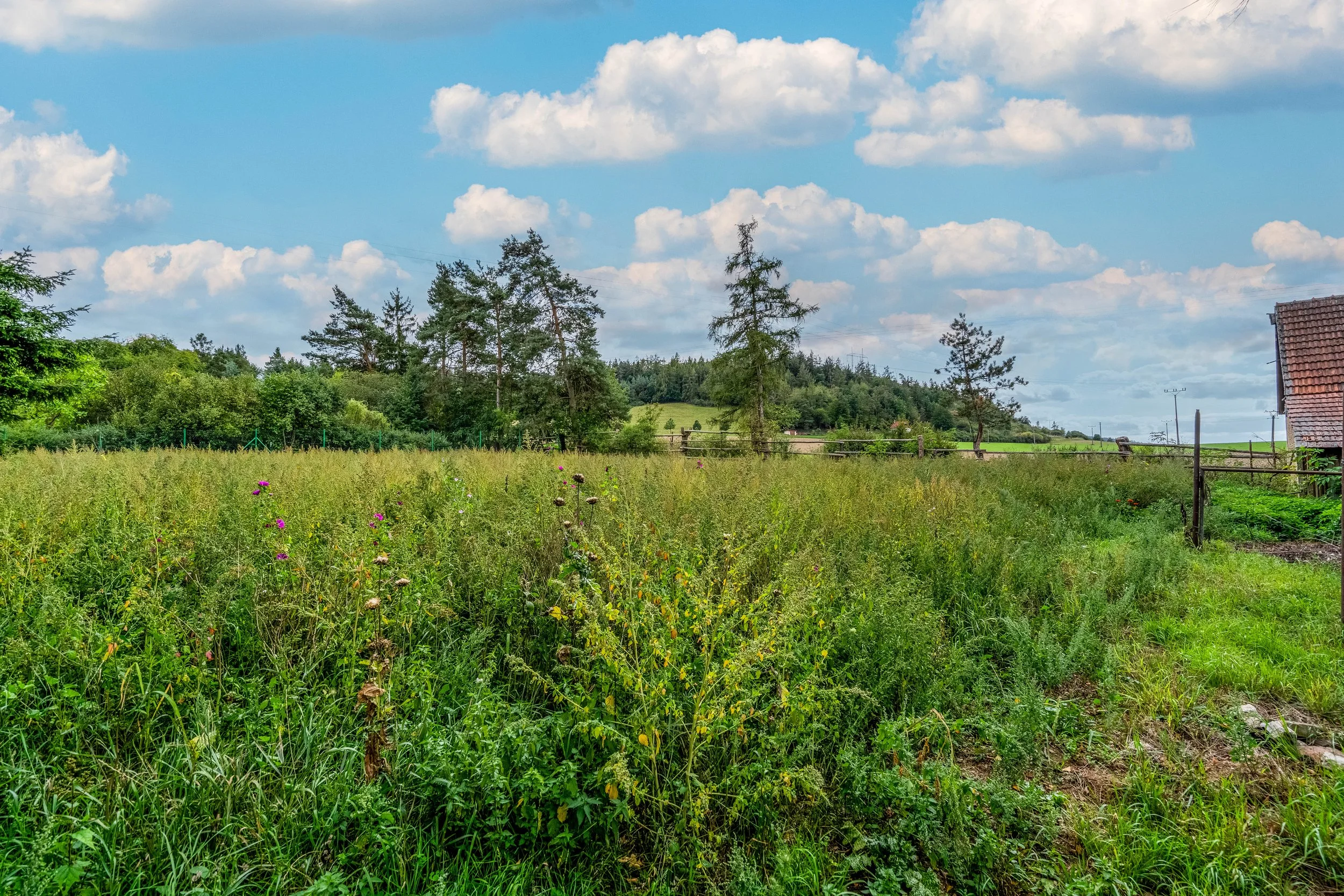 DSC09602-HDR-Edit.jpg