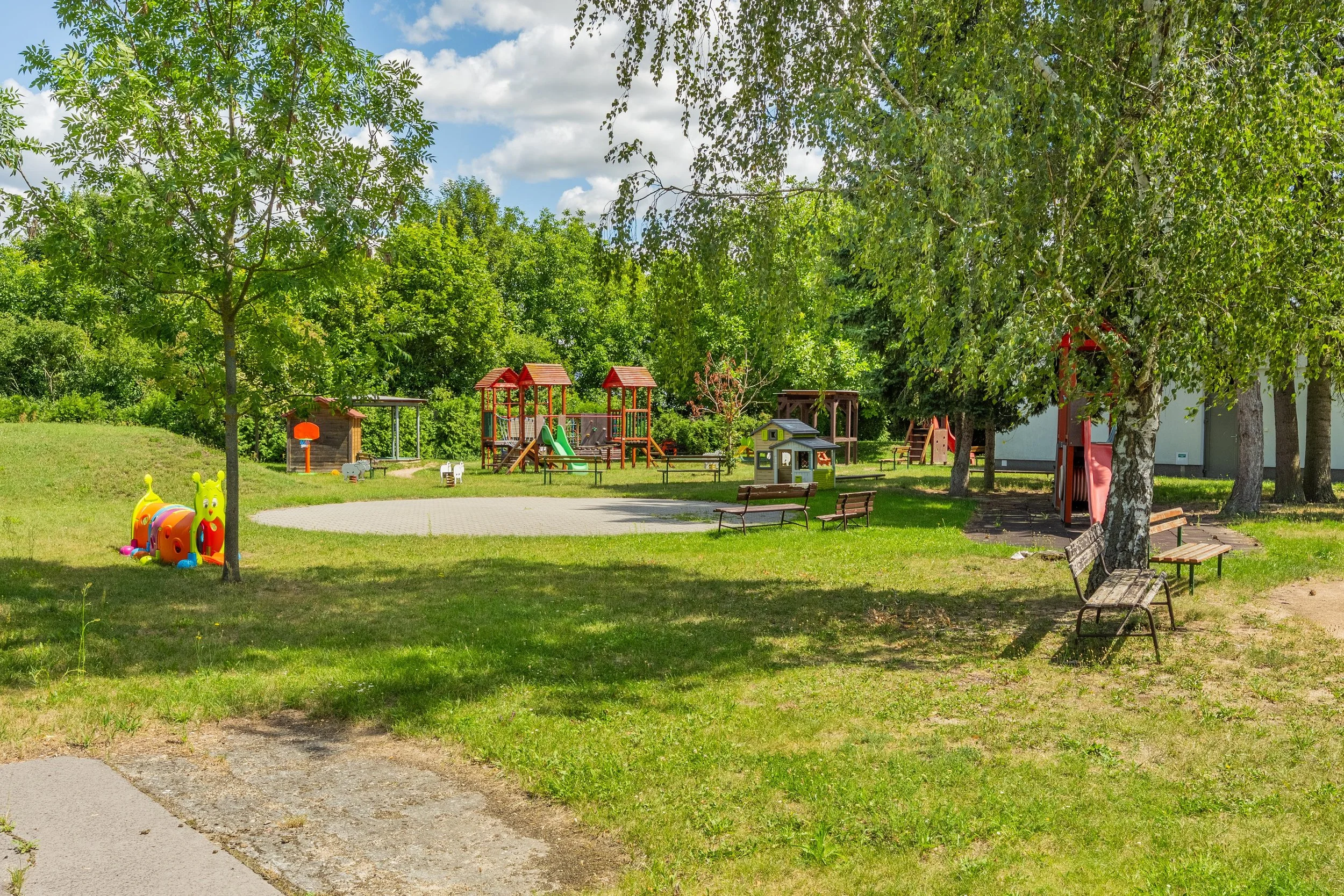 DSC_0655.jpg
