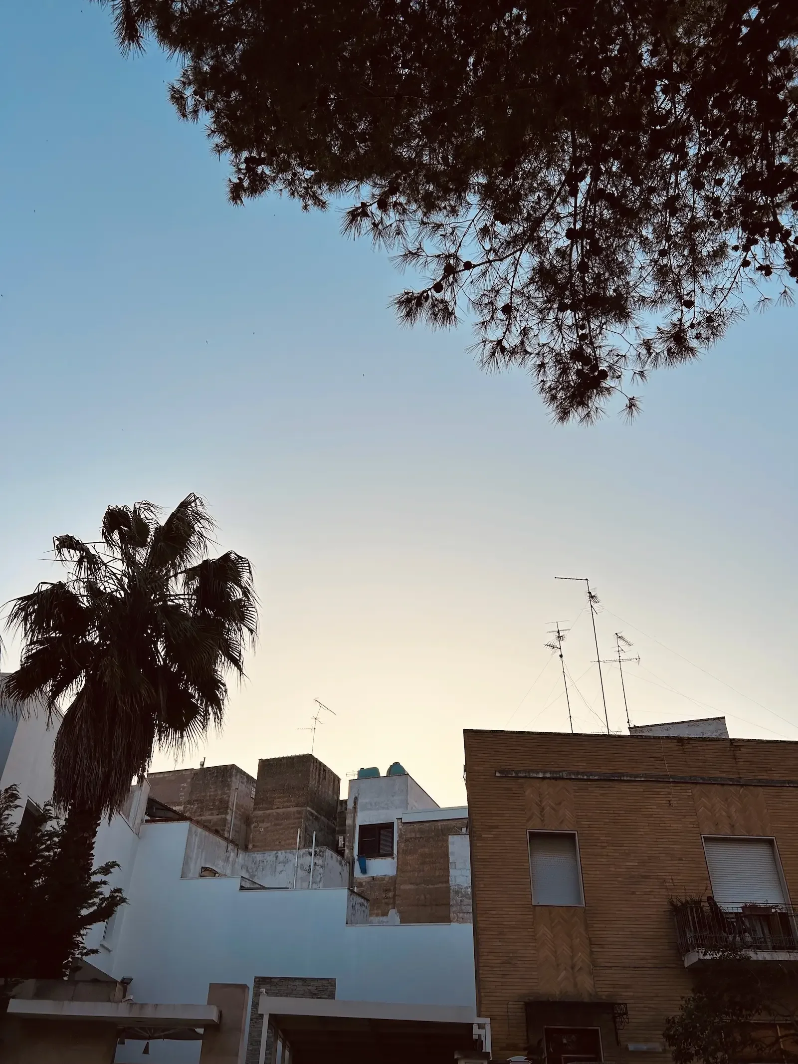 an image of san lazzaro