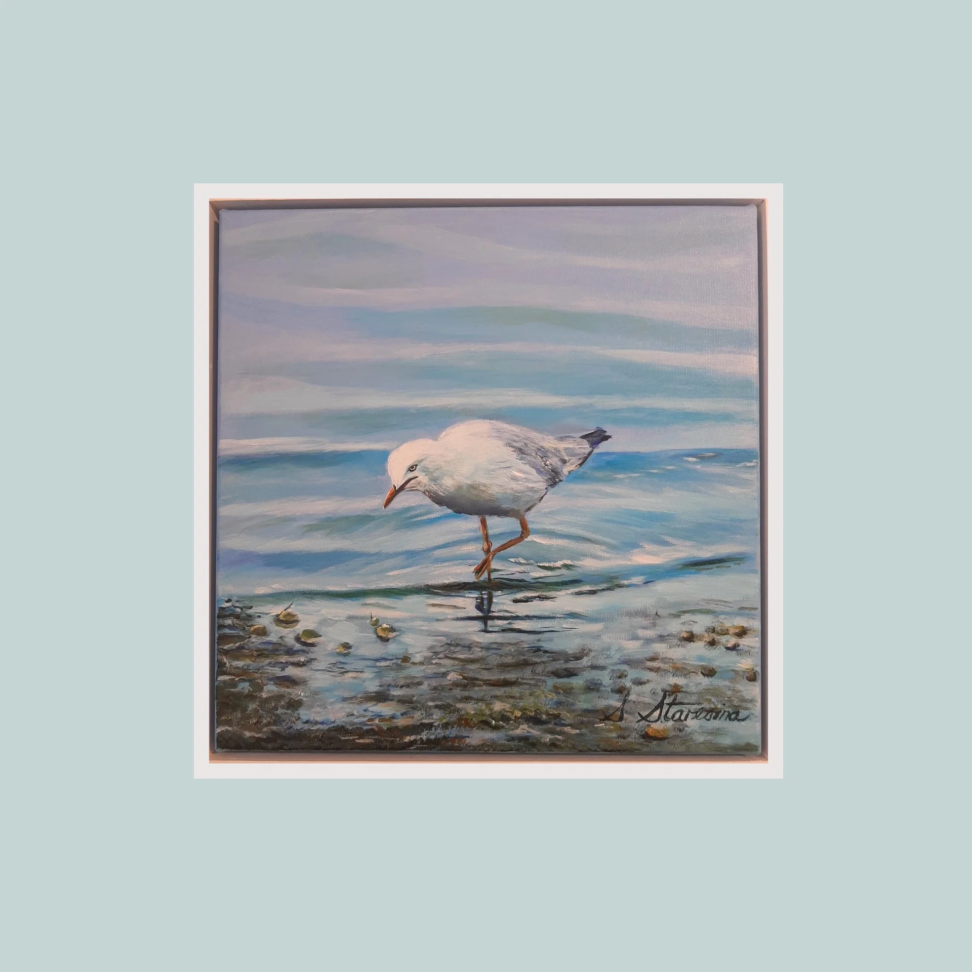 Seagull By the Shore