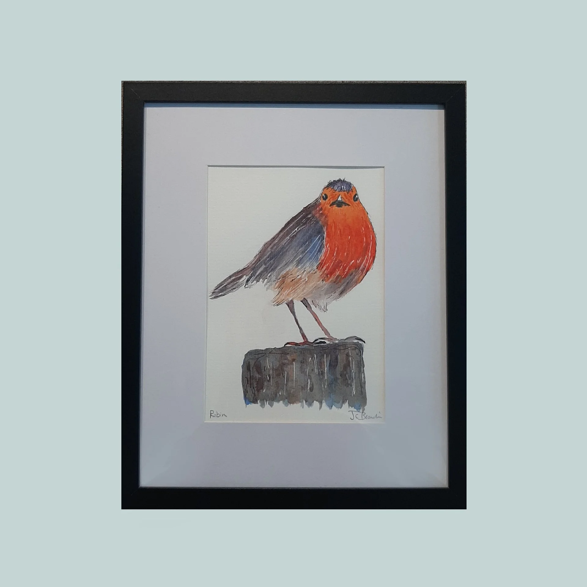 SG000799 - Rockin Robin.jpg