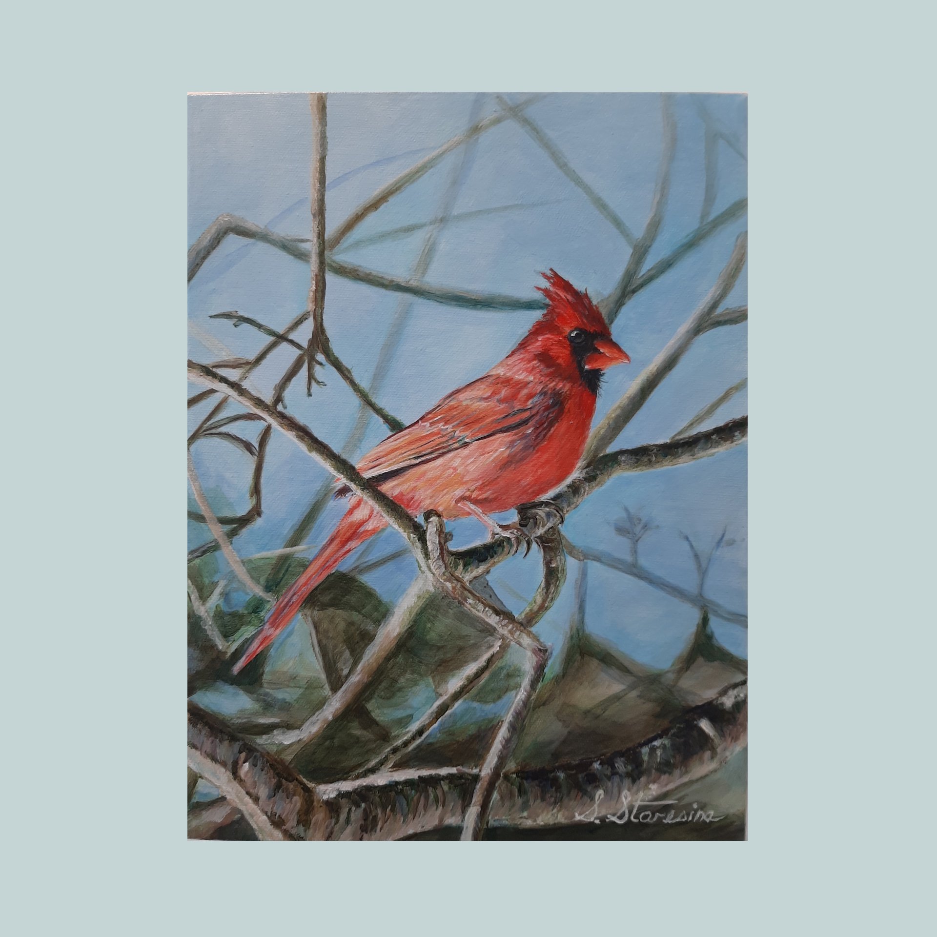 Cardinal