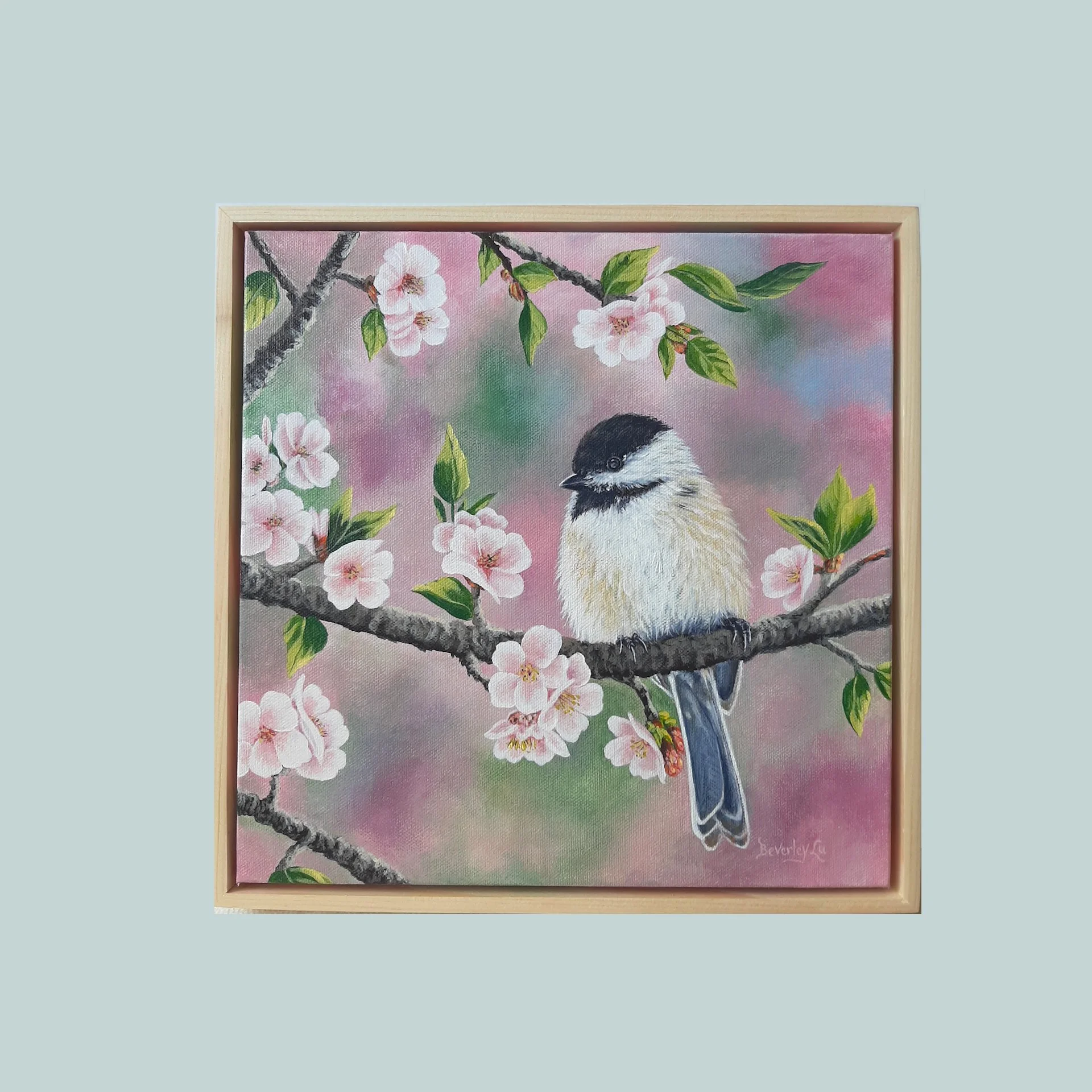 Chickadee and Apple Blossoms