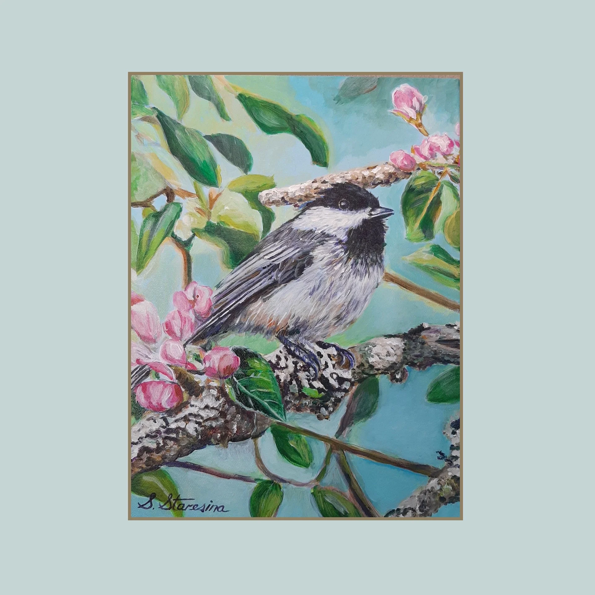 SG000464 - Chickadee and Apple Blossoms.jpg