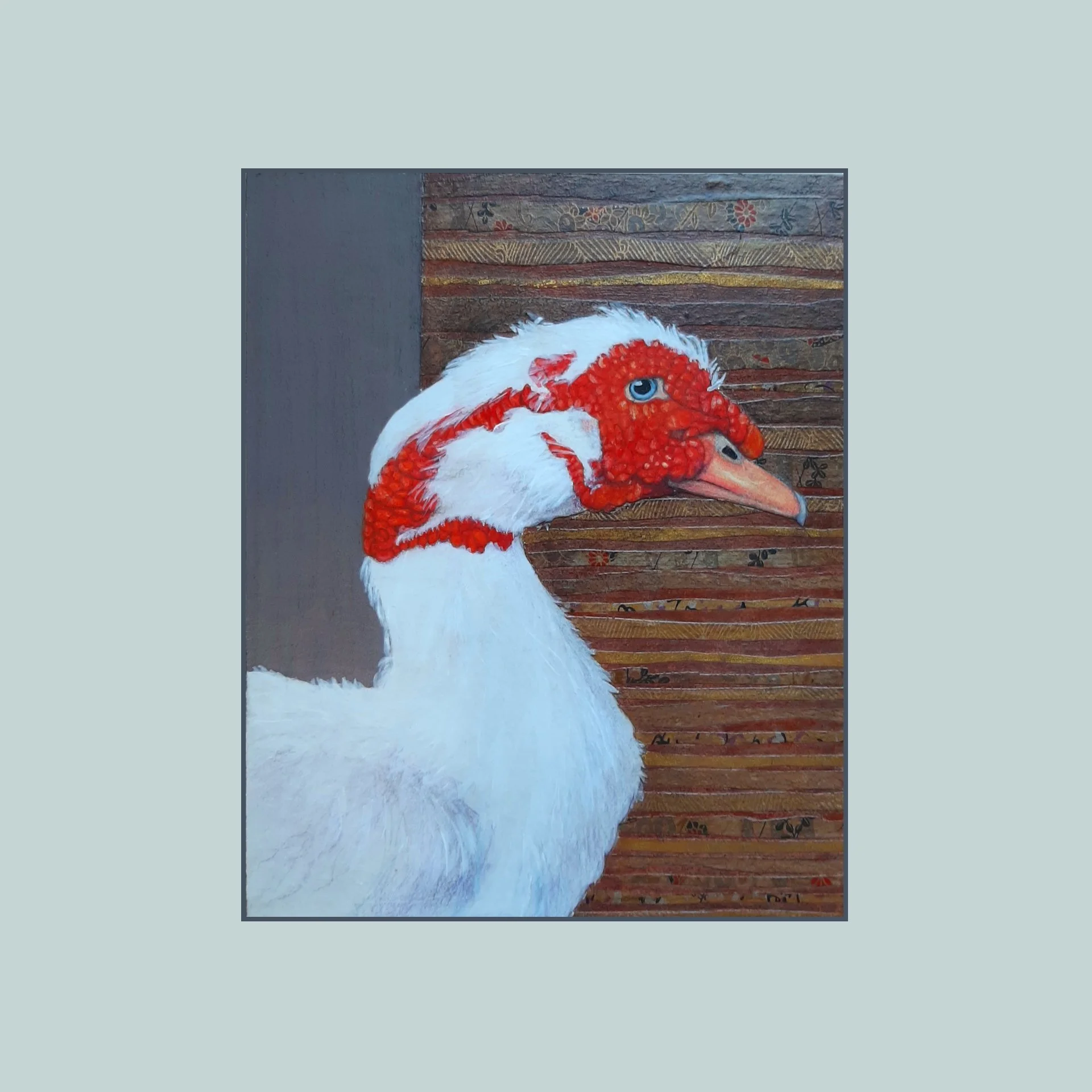 SG000754 - Muscovy Duck.jpg
