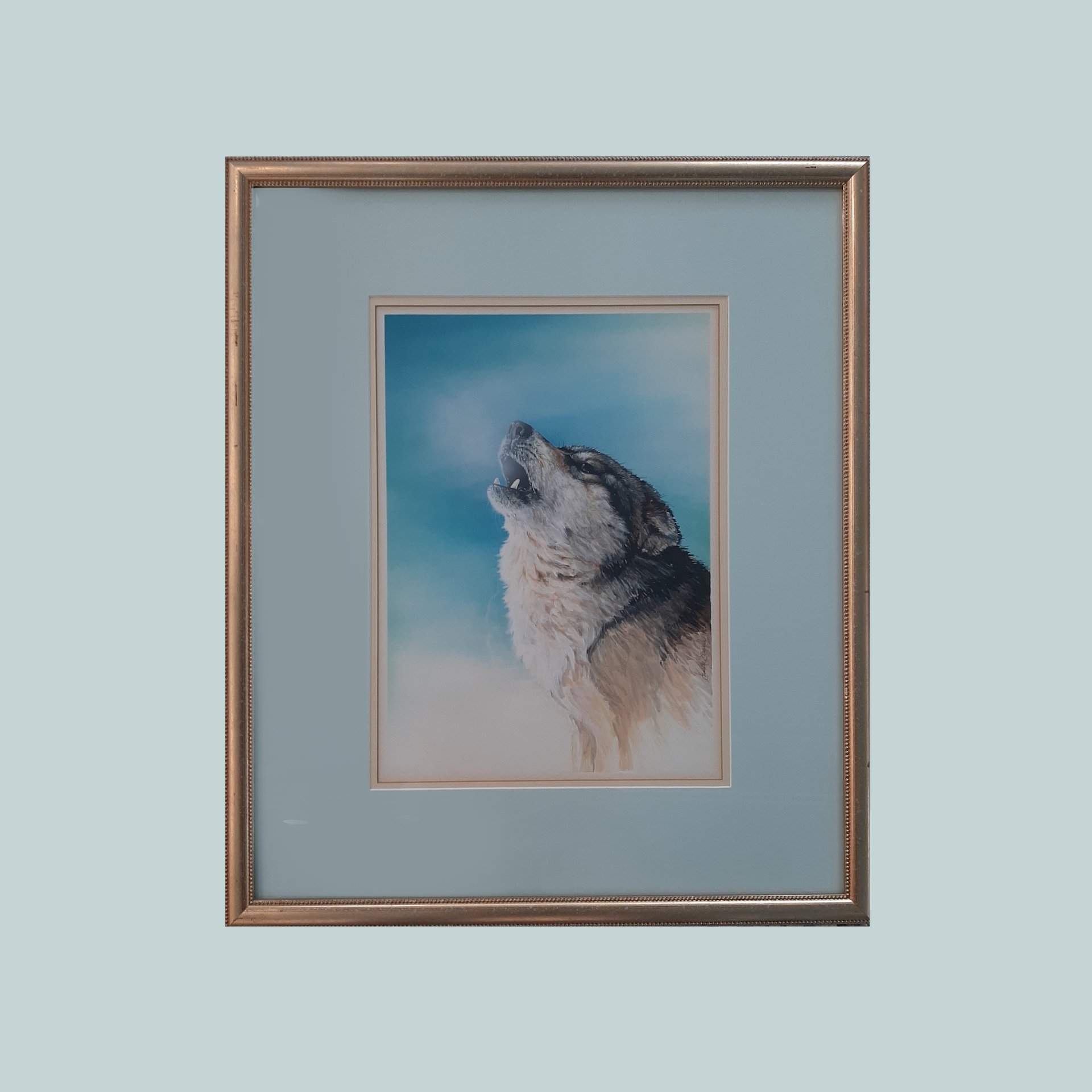 Grey Wolf Pup - Cry of the Wild