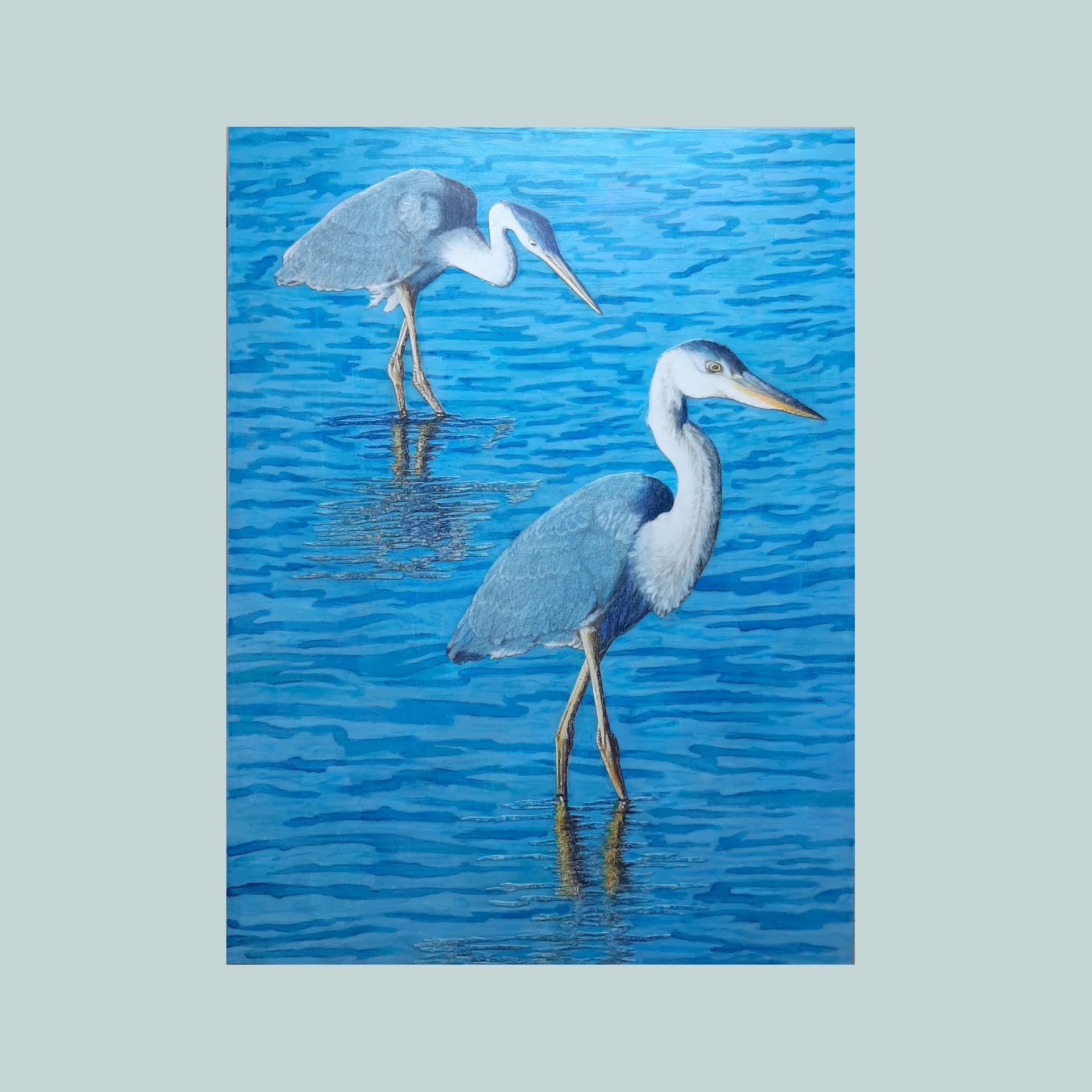 SG000760 - Two Herons.jpg