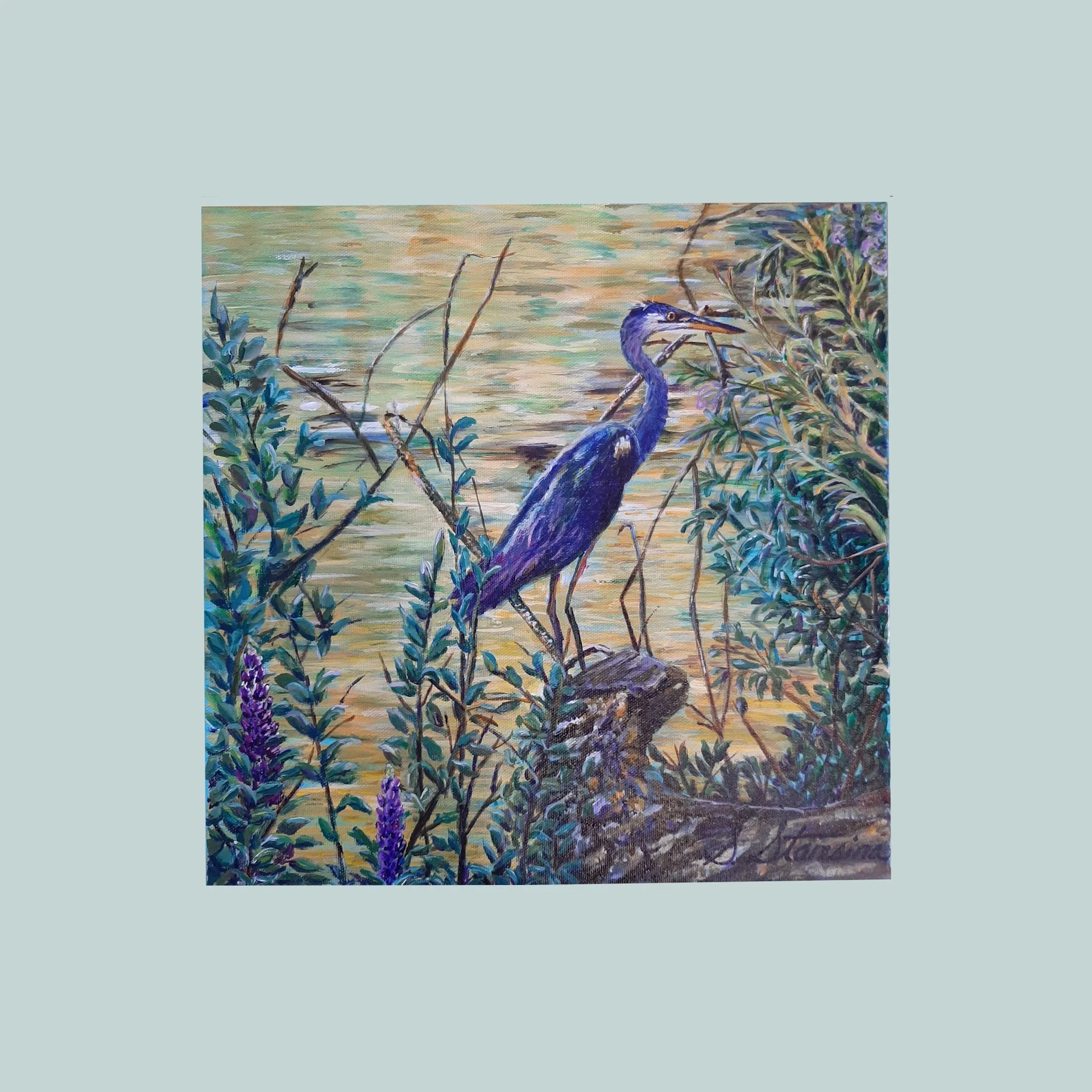 Blue Heron on the Marsh