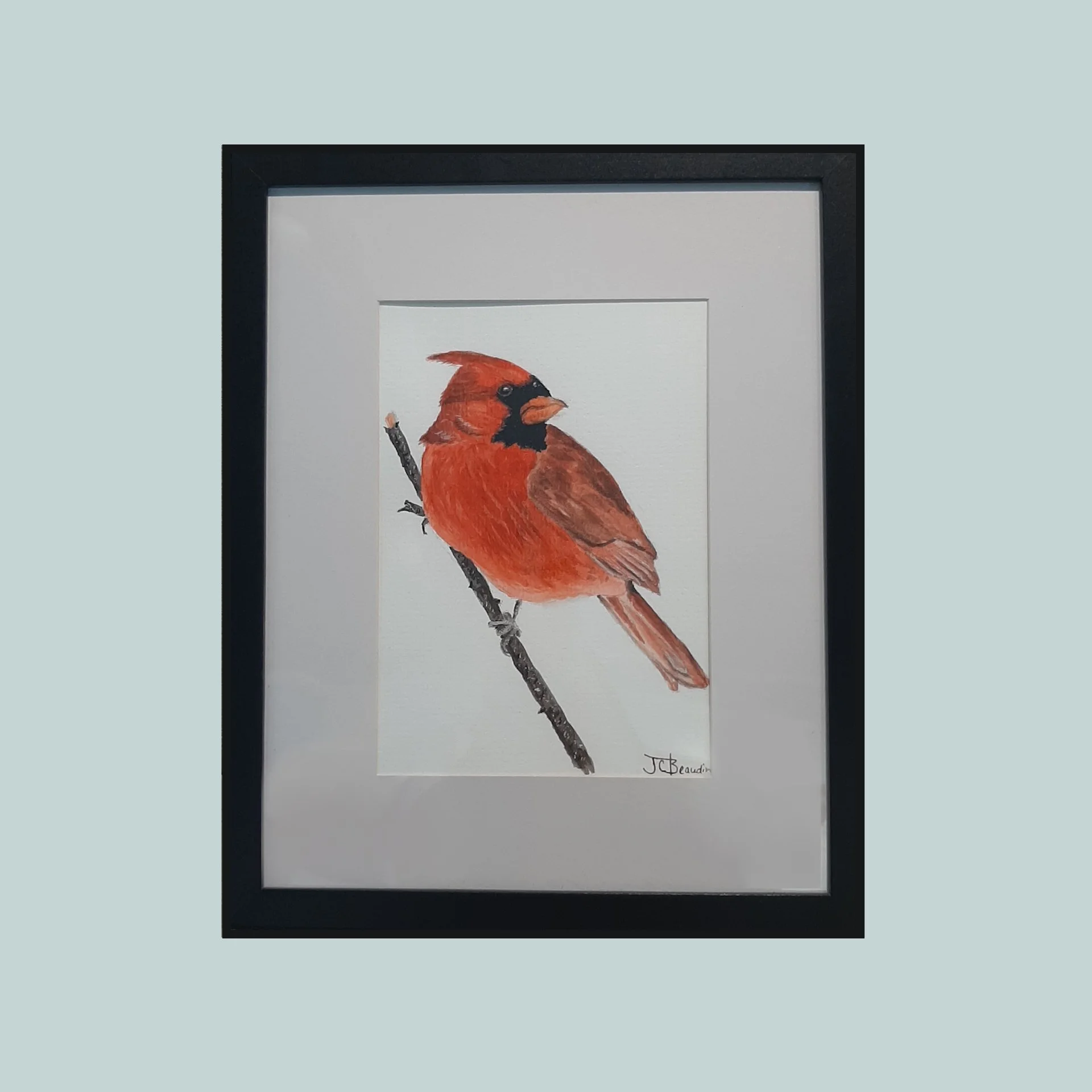 SG000793 - Cardinal.jpg