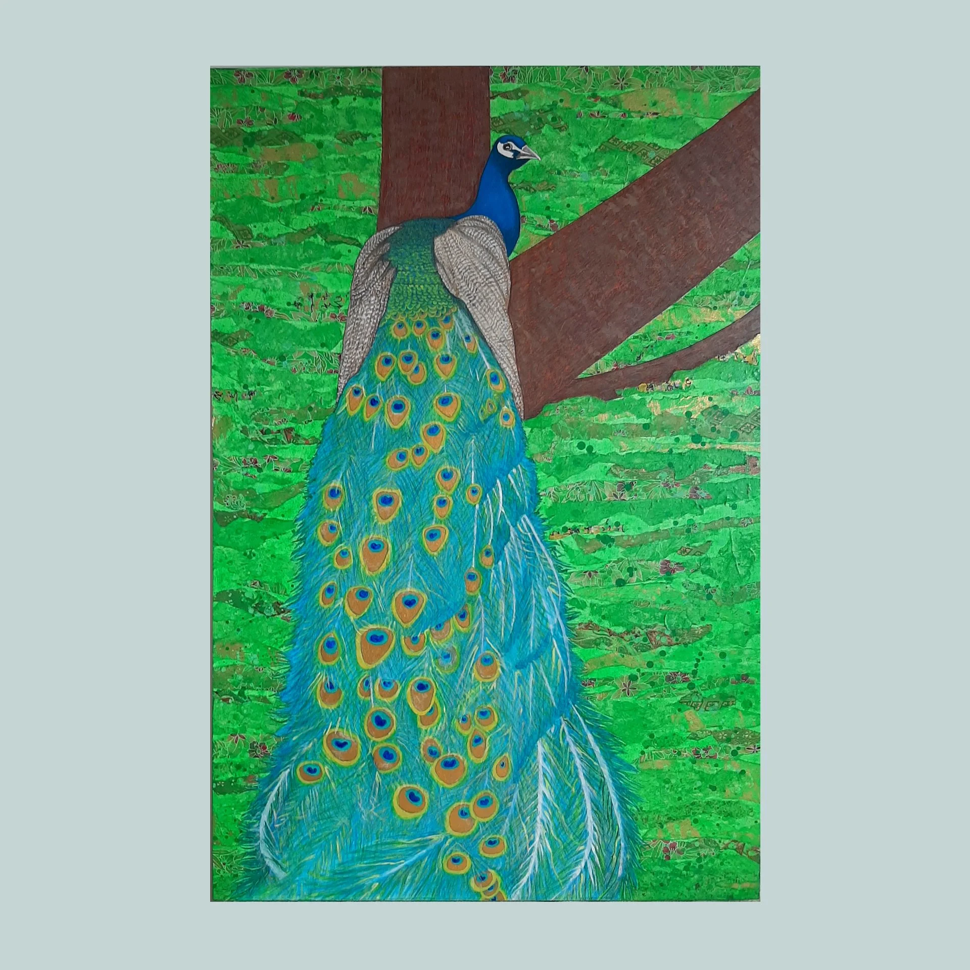 SG000767 - Peacock IV.jpg