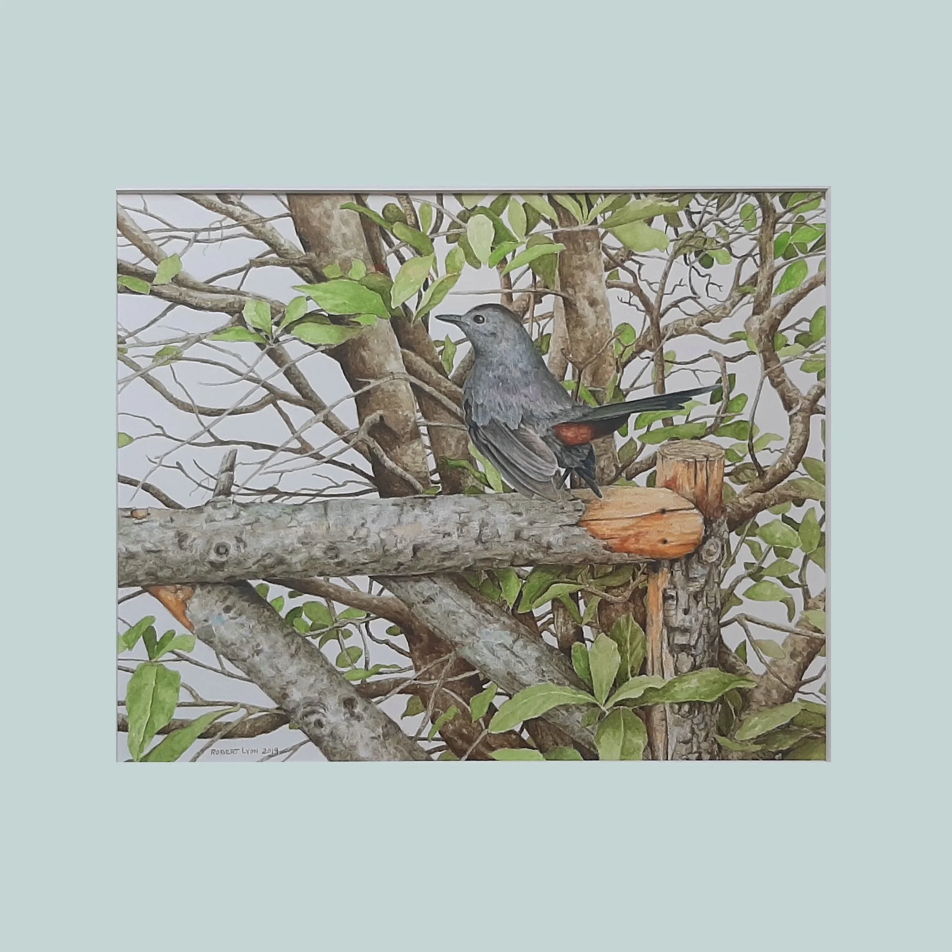 SG000840 - Catbird & the Wedding Tree.jpg