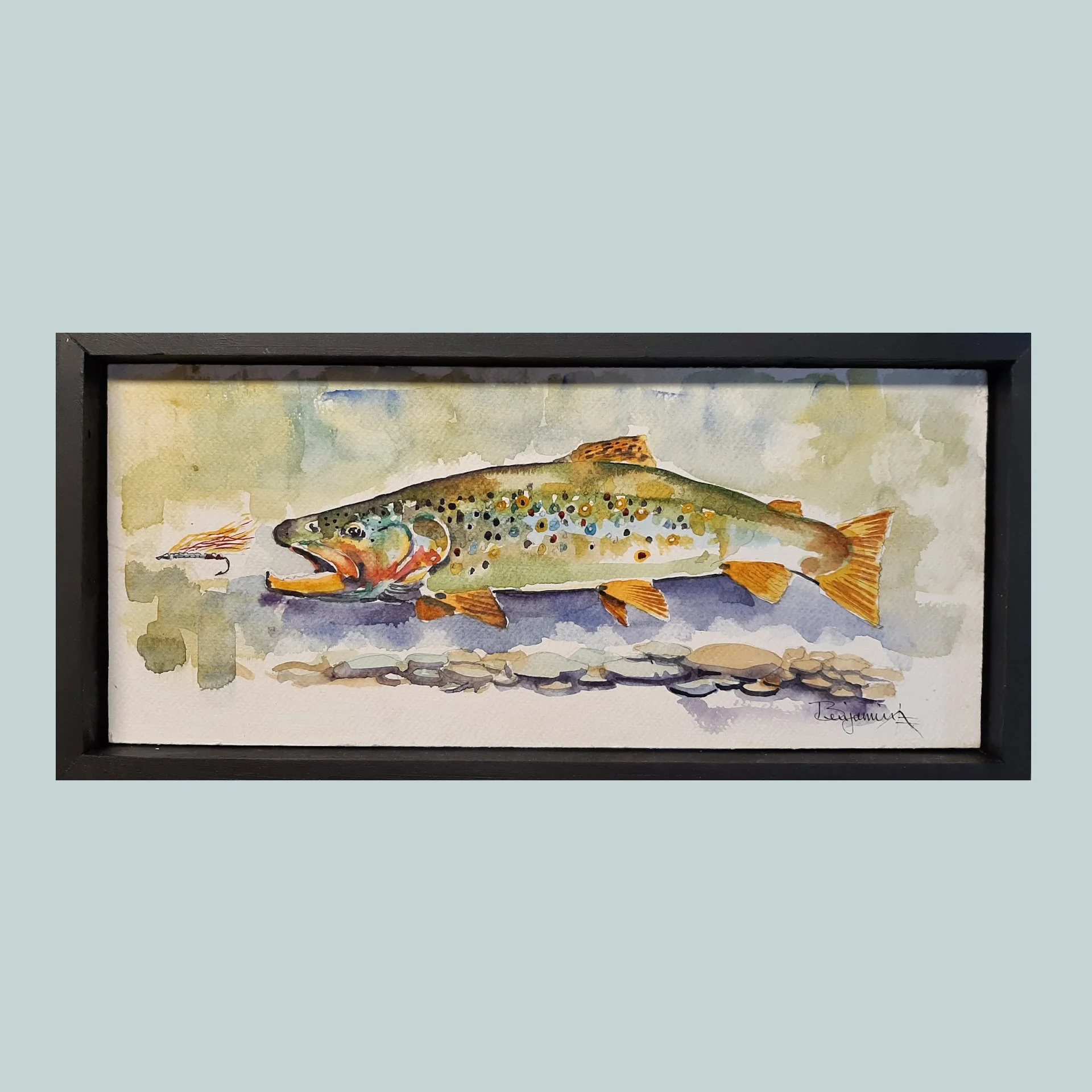 SG000685 - Brown Trout.jpg