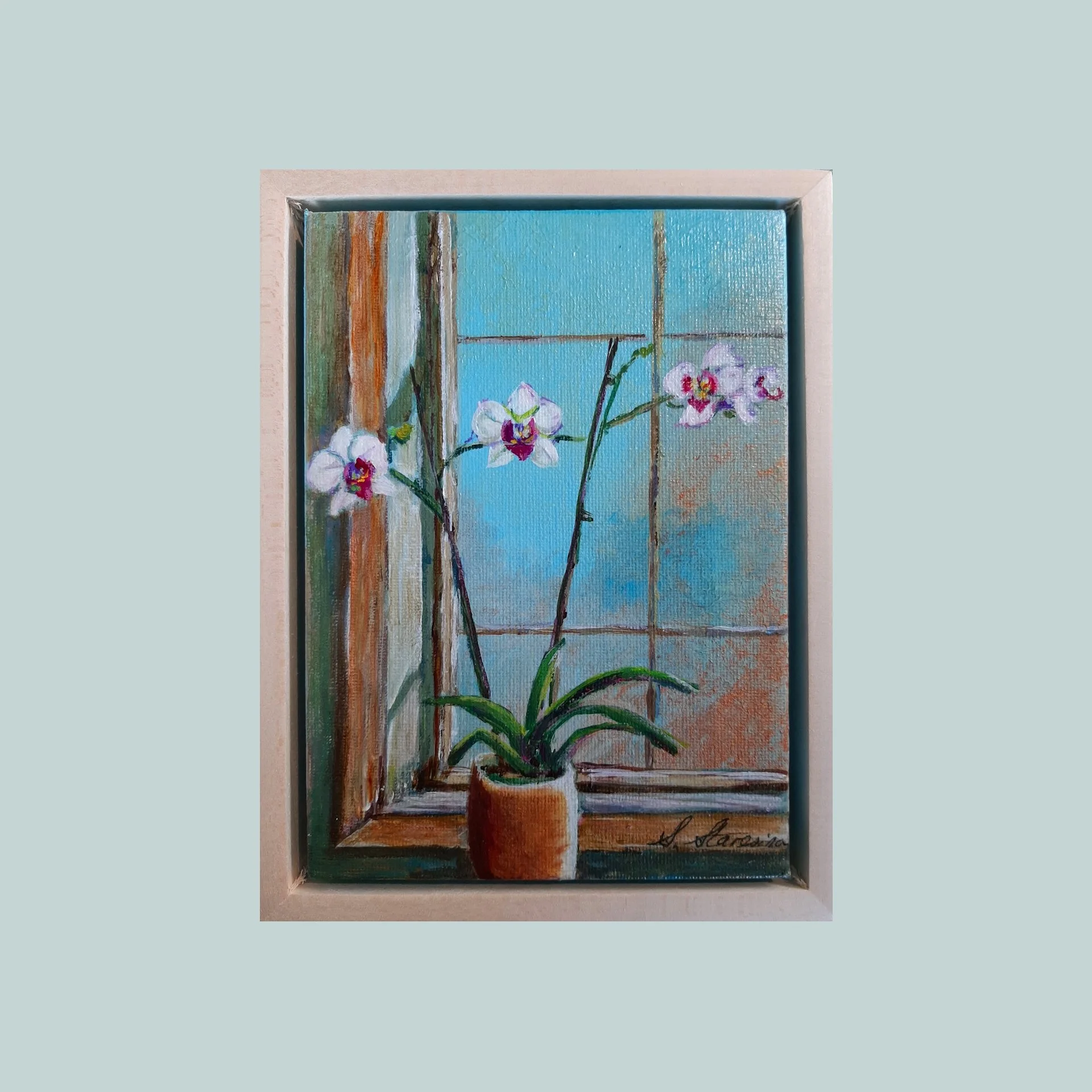 SG000543 - Orchid by the window.jpg
