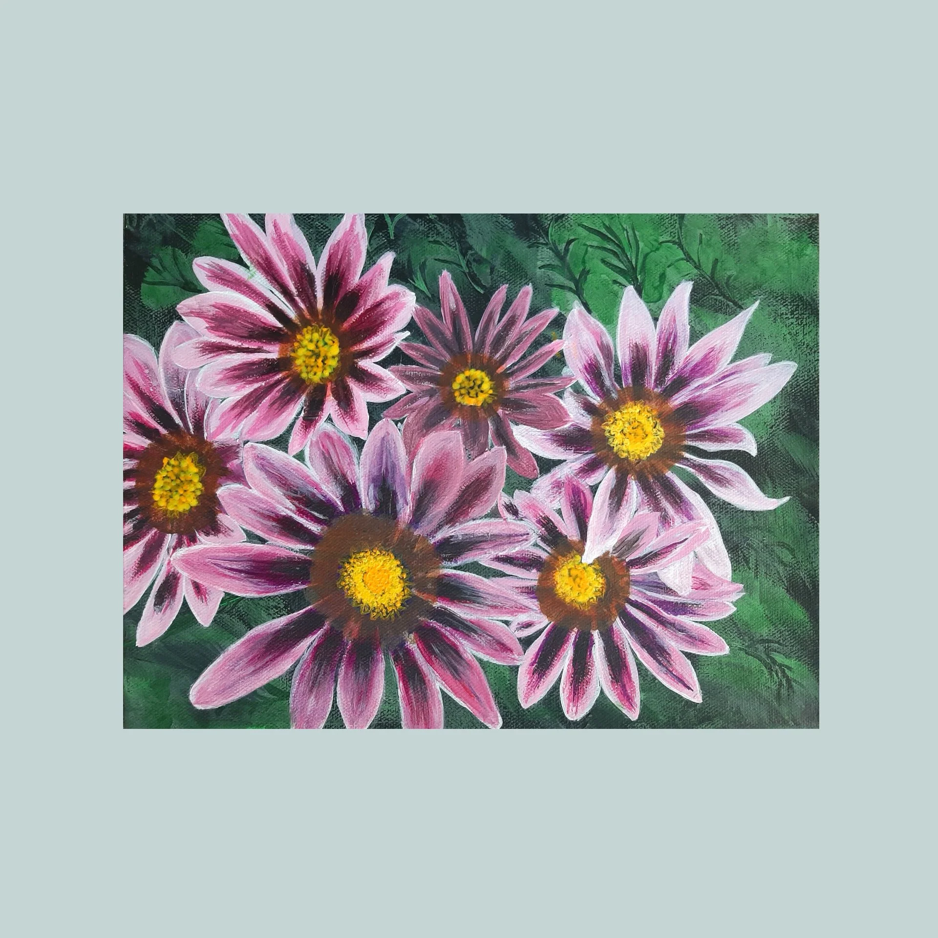 SG000484 - Echinacea.jpg