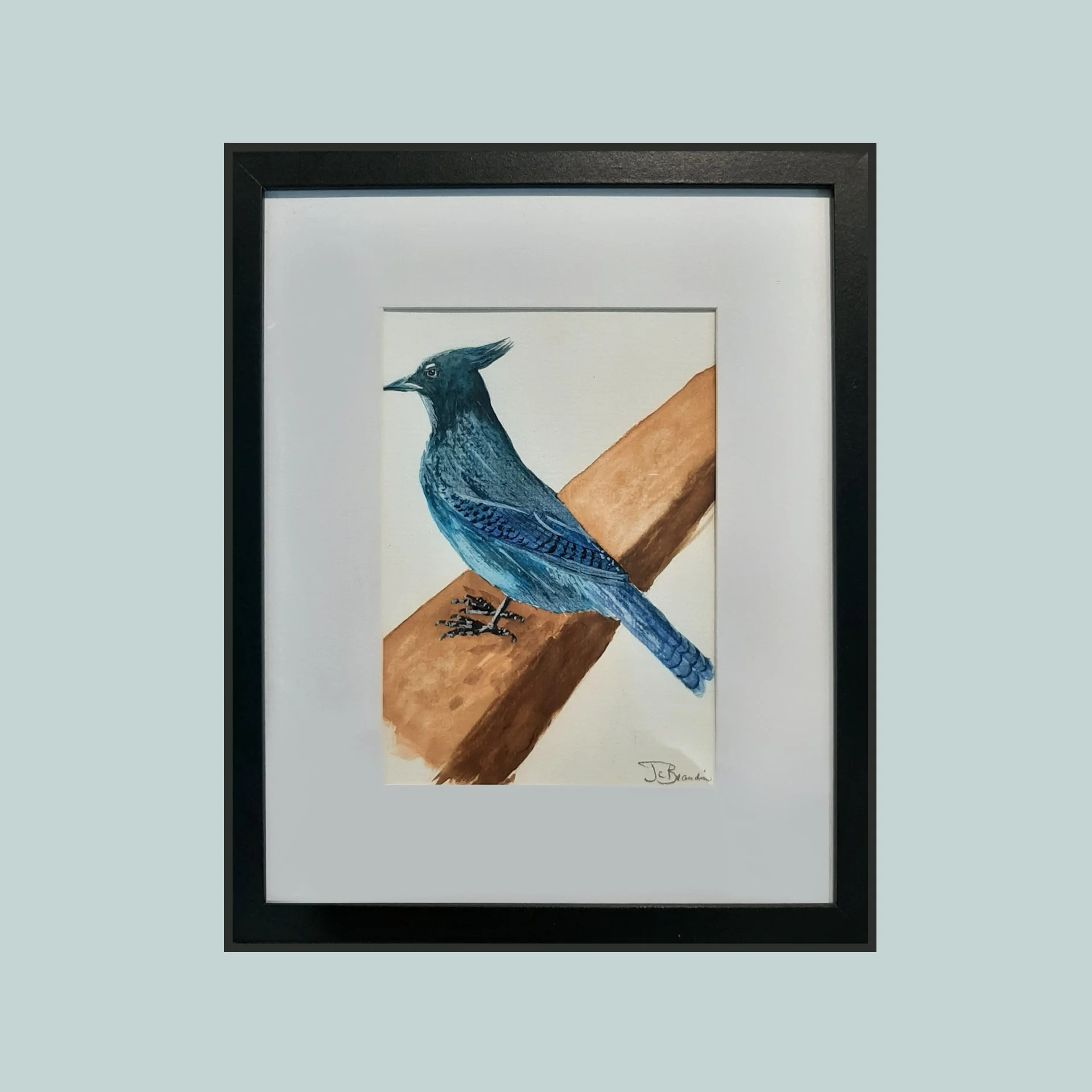 SG000795 - Bluejay.jpg