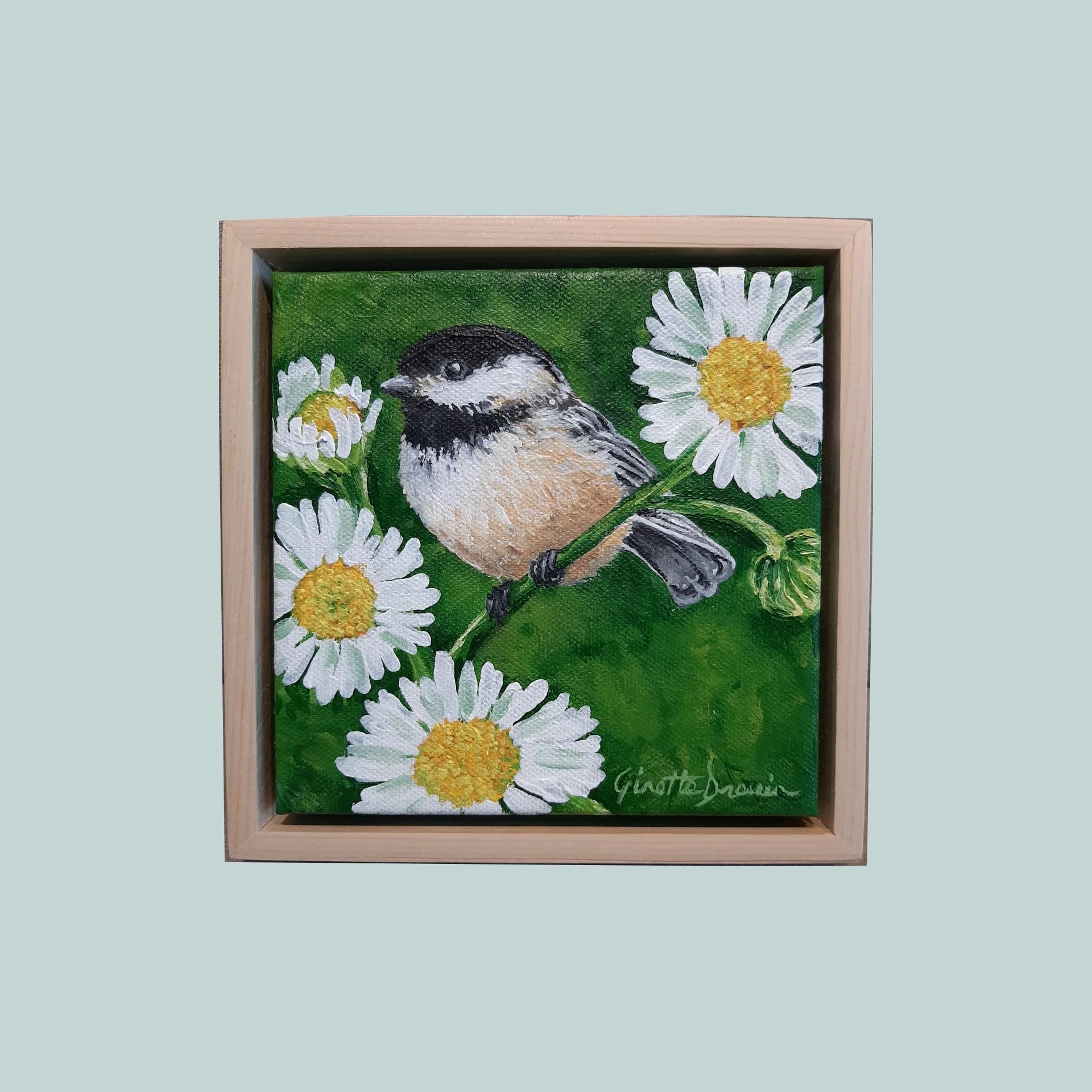 SG000574 - Daisy Chickadee.jpg