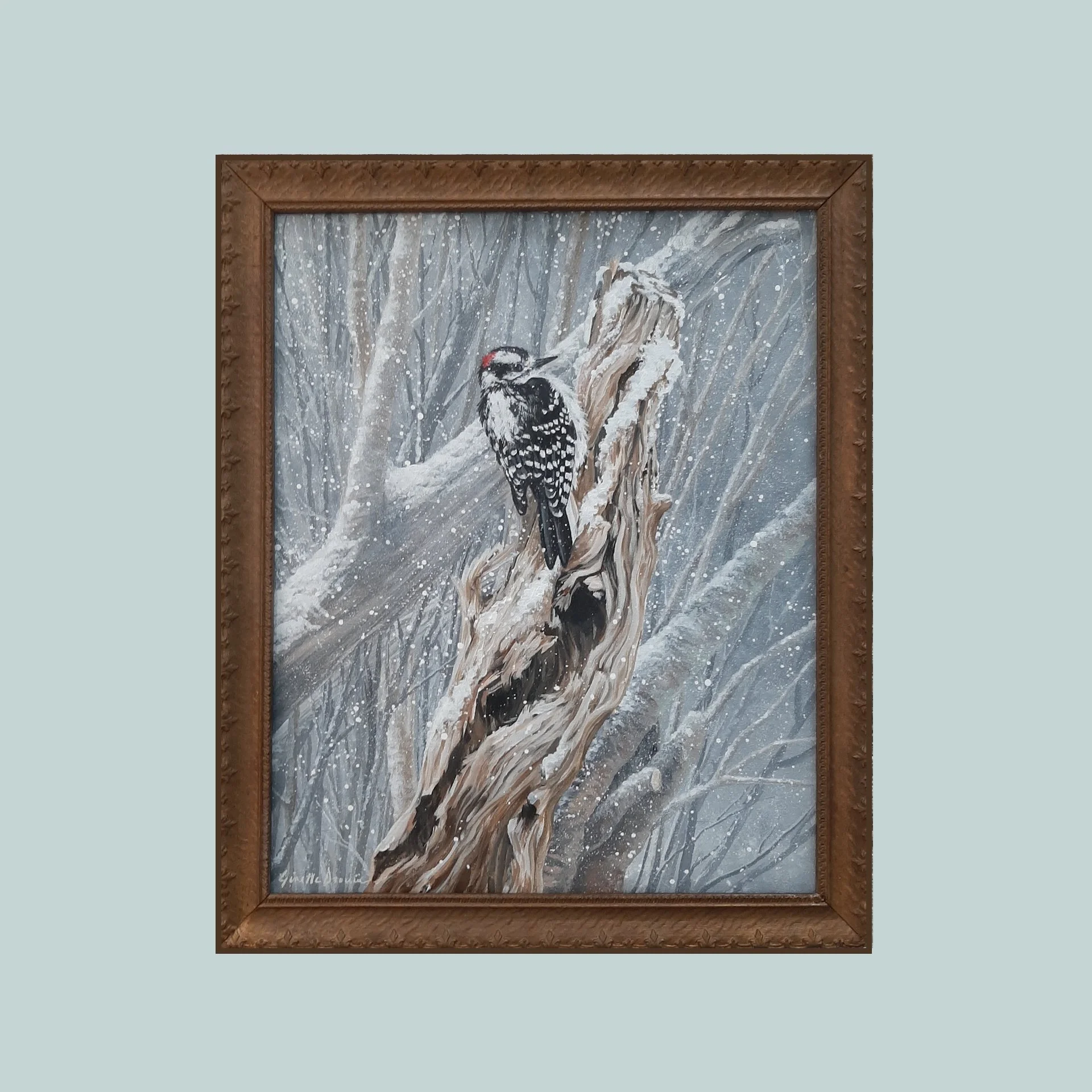 Winter Softness - Downy Woodpecker
