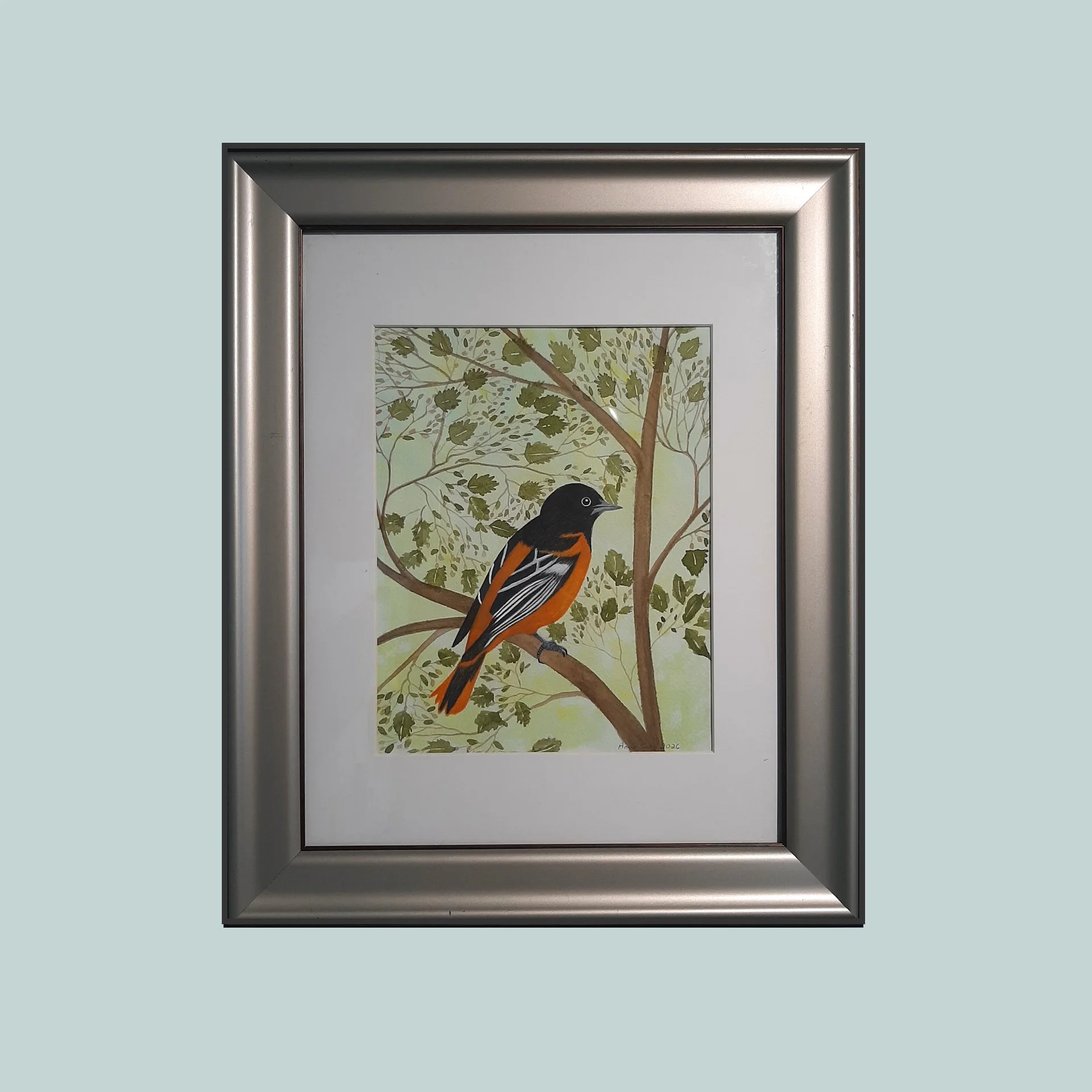 SG000804 - Baltimore Oriole.jpg