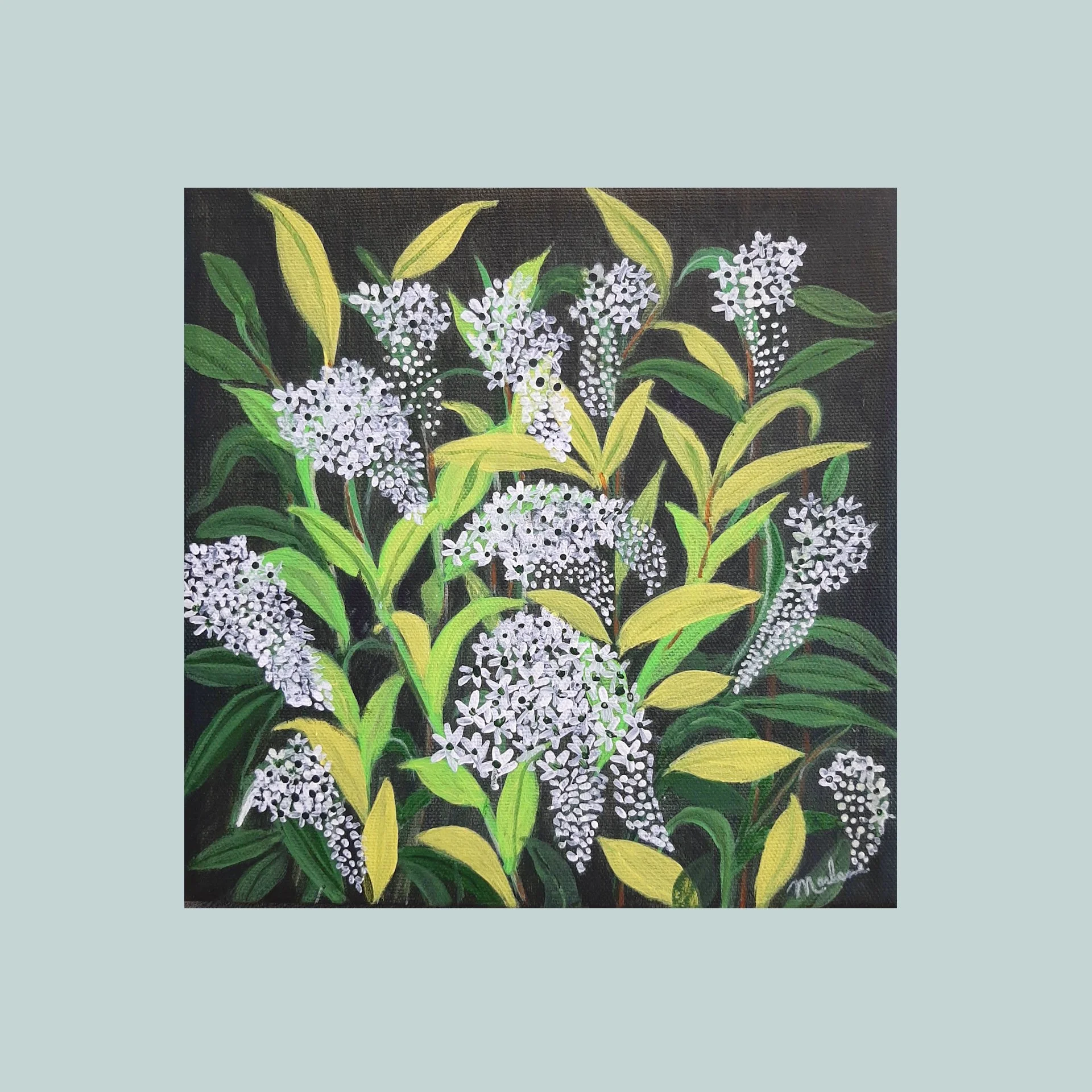 SG000485 - Lysimaque.jpg