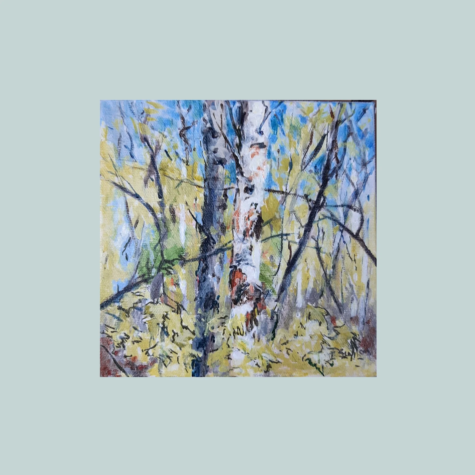 SG000523 - Birch Tree.jpg