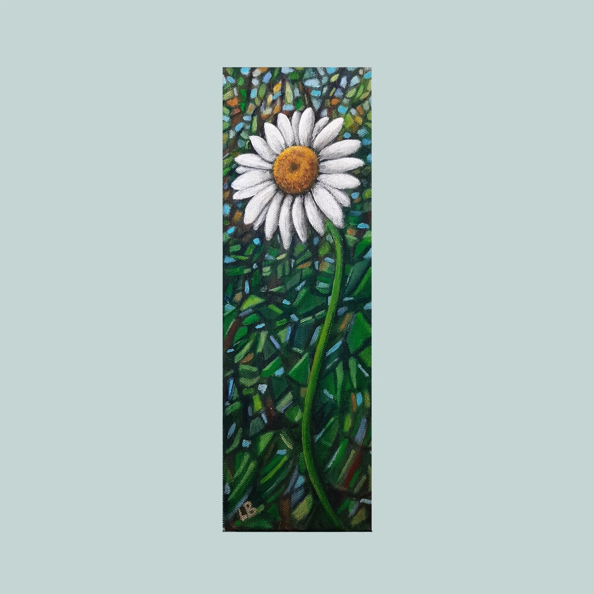 SG000548 - Daisy at Dawn.jpg